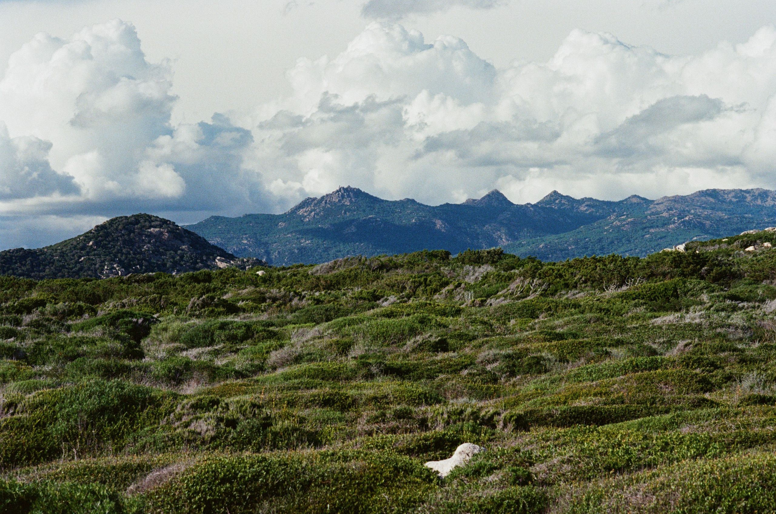 Silence is also an answer // corsica V. EVER EXPOSED