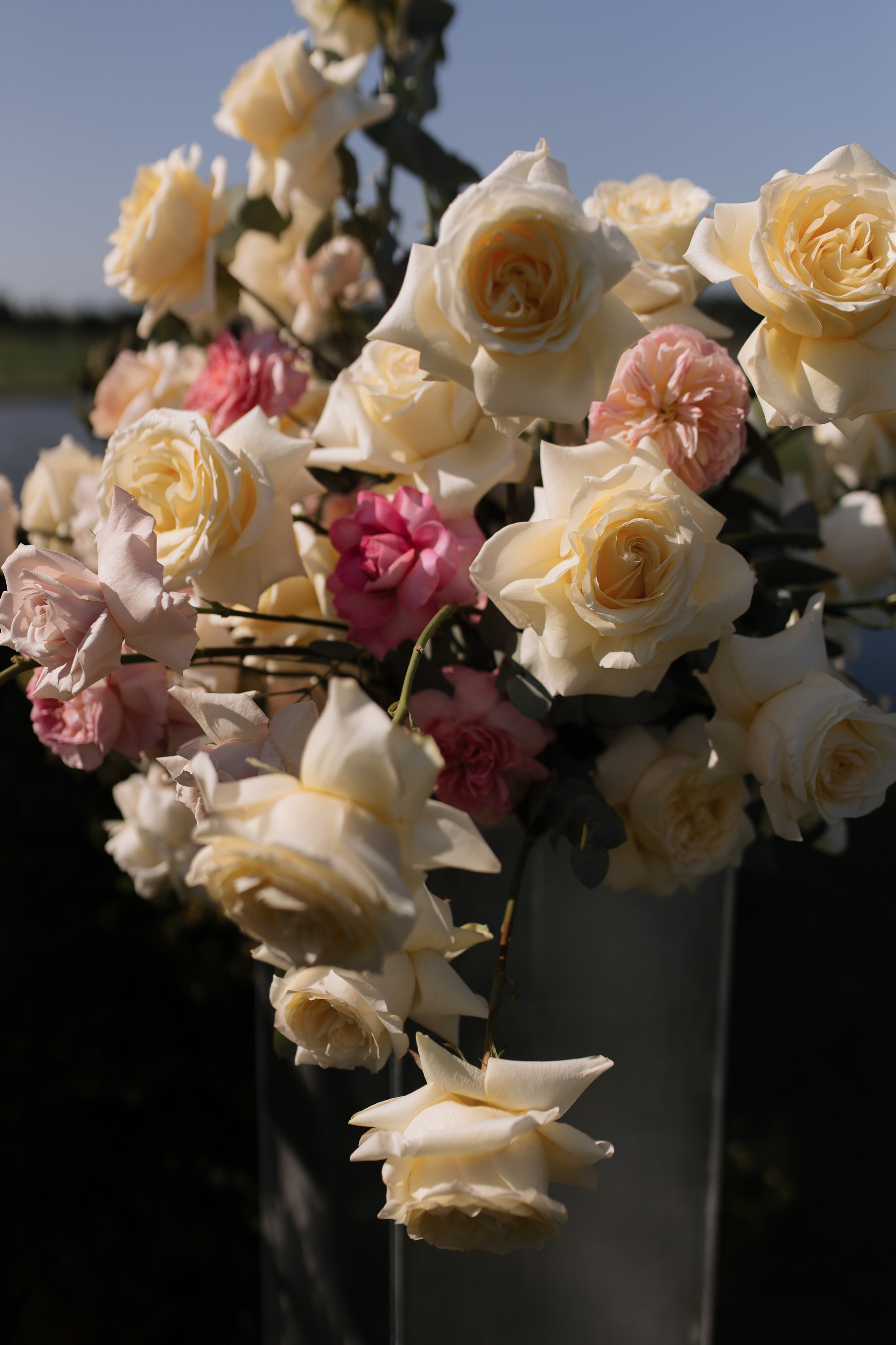 Даша и Ваня. Свадебный и портретный фотограф Екатерина Моргунова