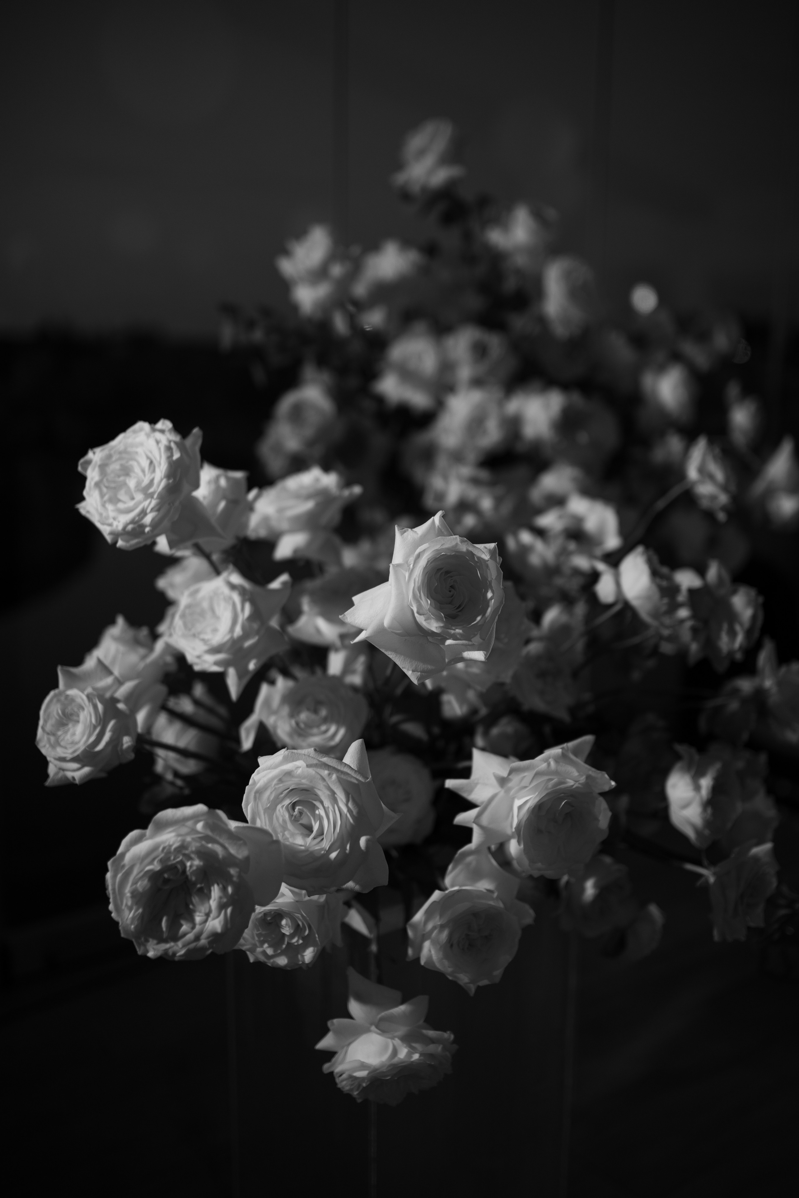 Даша и Ваня. Свадебный и портретный фотограф Екатерина Моргунова