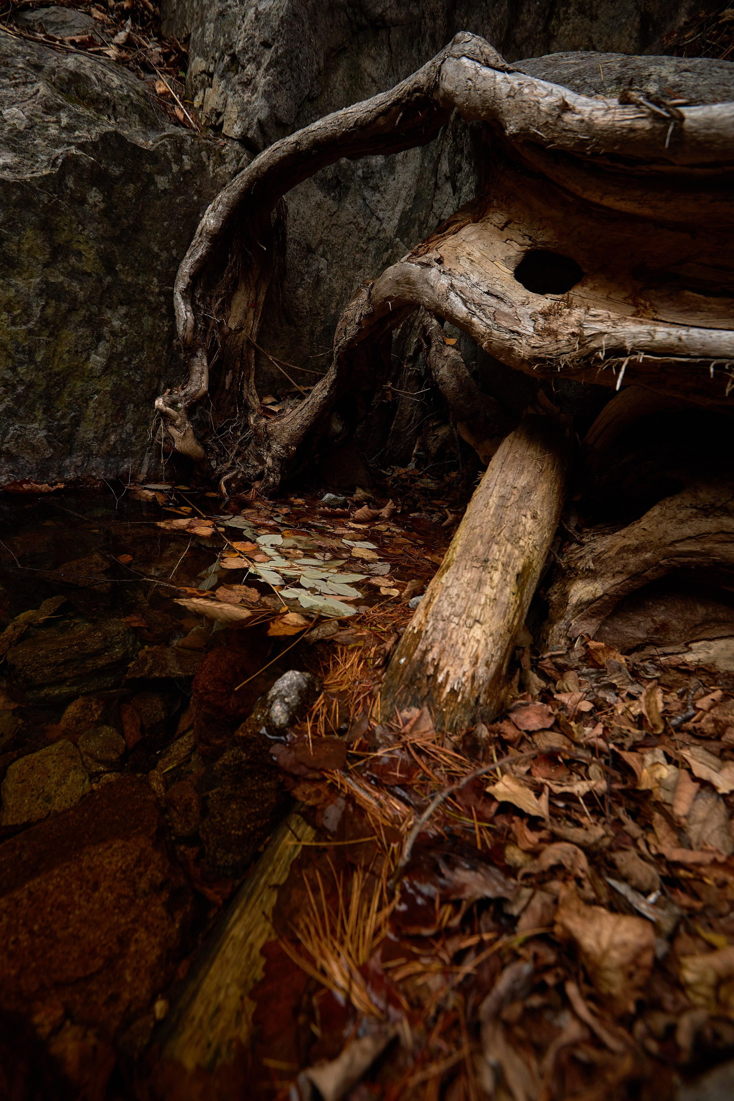 Пейзаж. Репортажный Фотограф во Владивостоке и России Осипчук Дмитрий