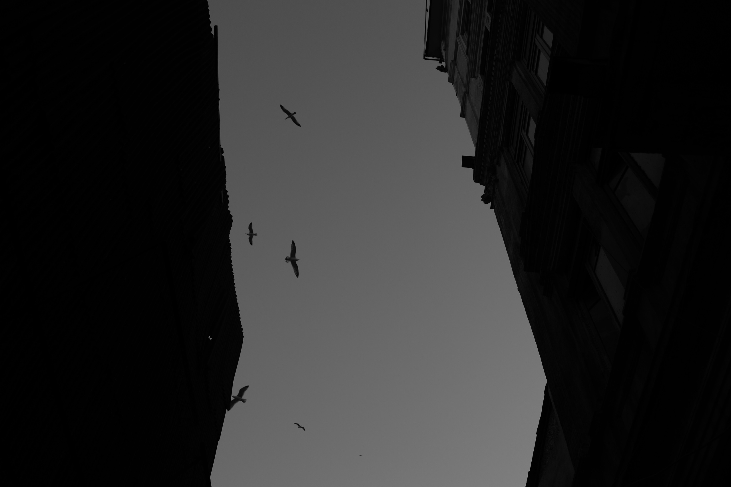 Istanbul delight / Turkey 2024. POLINA MÔMOT