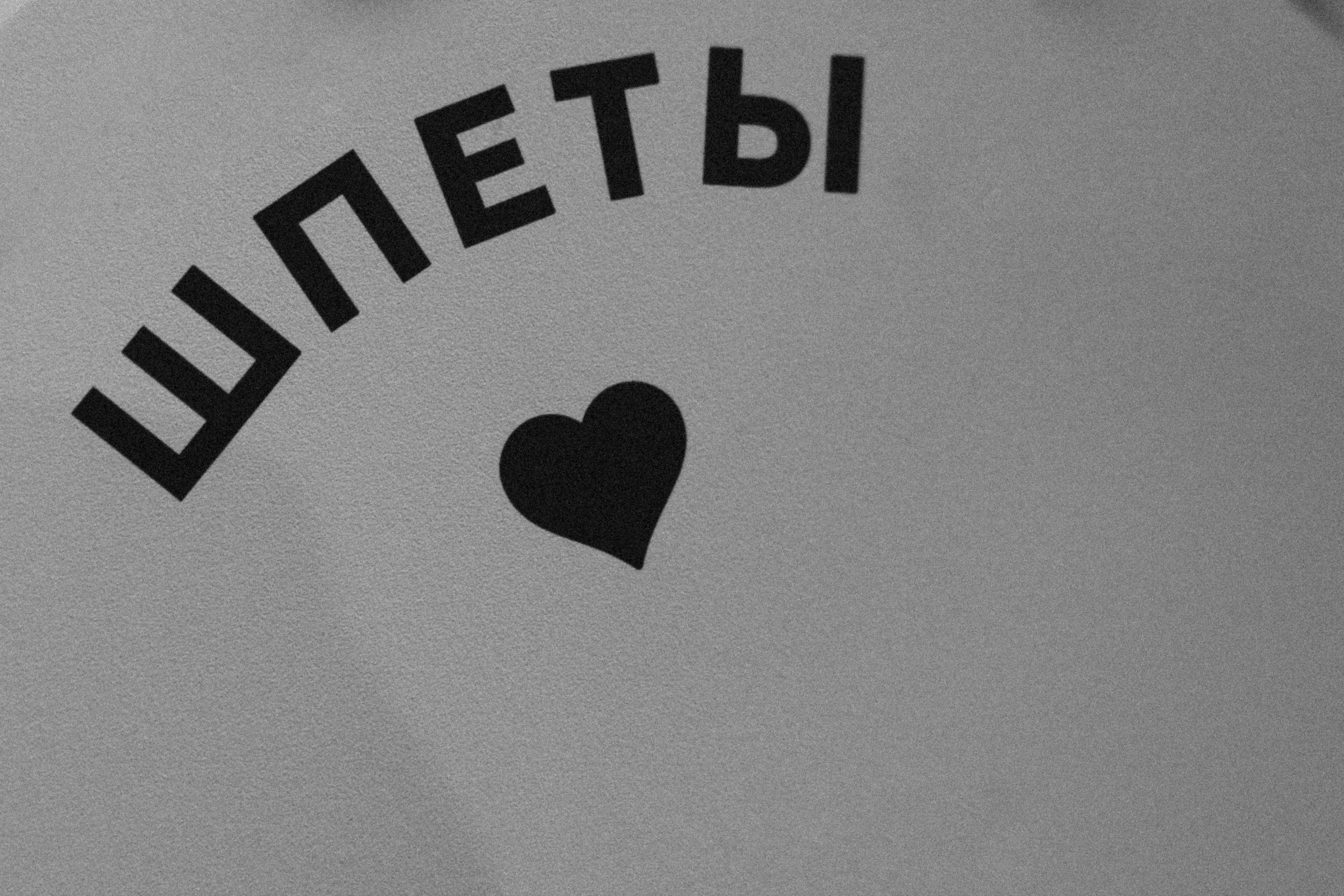 A & D Vanity Forest. Свадебные фотограф и видеограф в Санкт-Петербурге