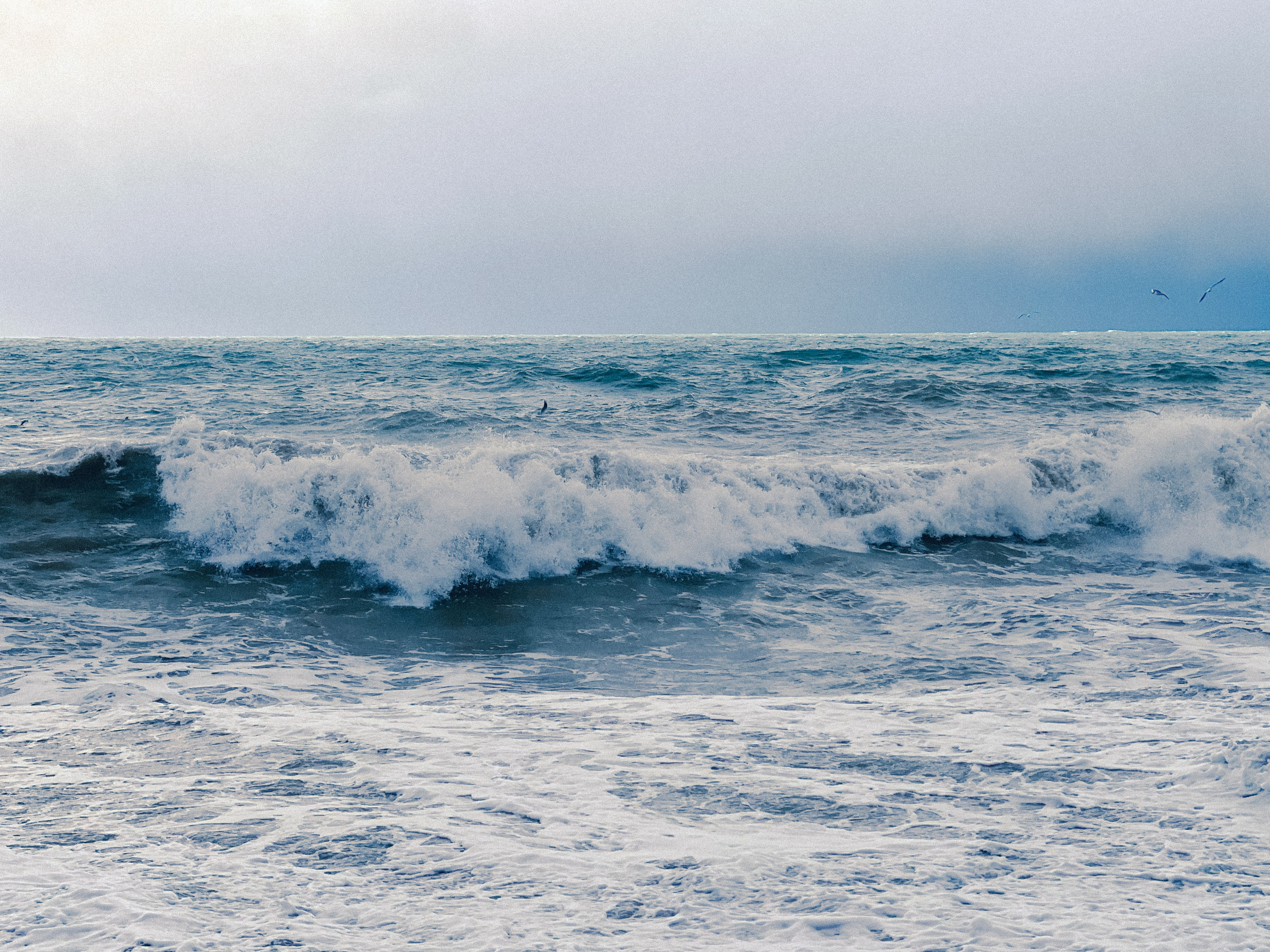 Seaside. SHILOVA PHOTO. Шилова Екатерина. Фотограф. Москва