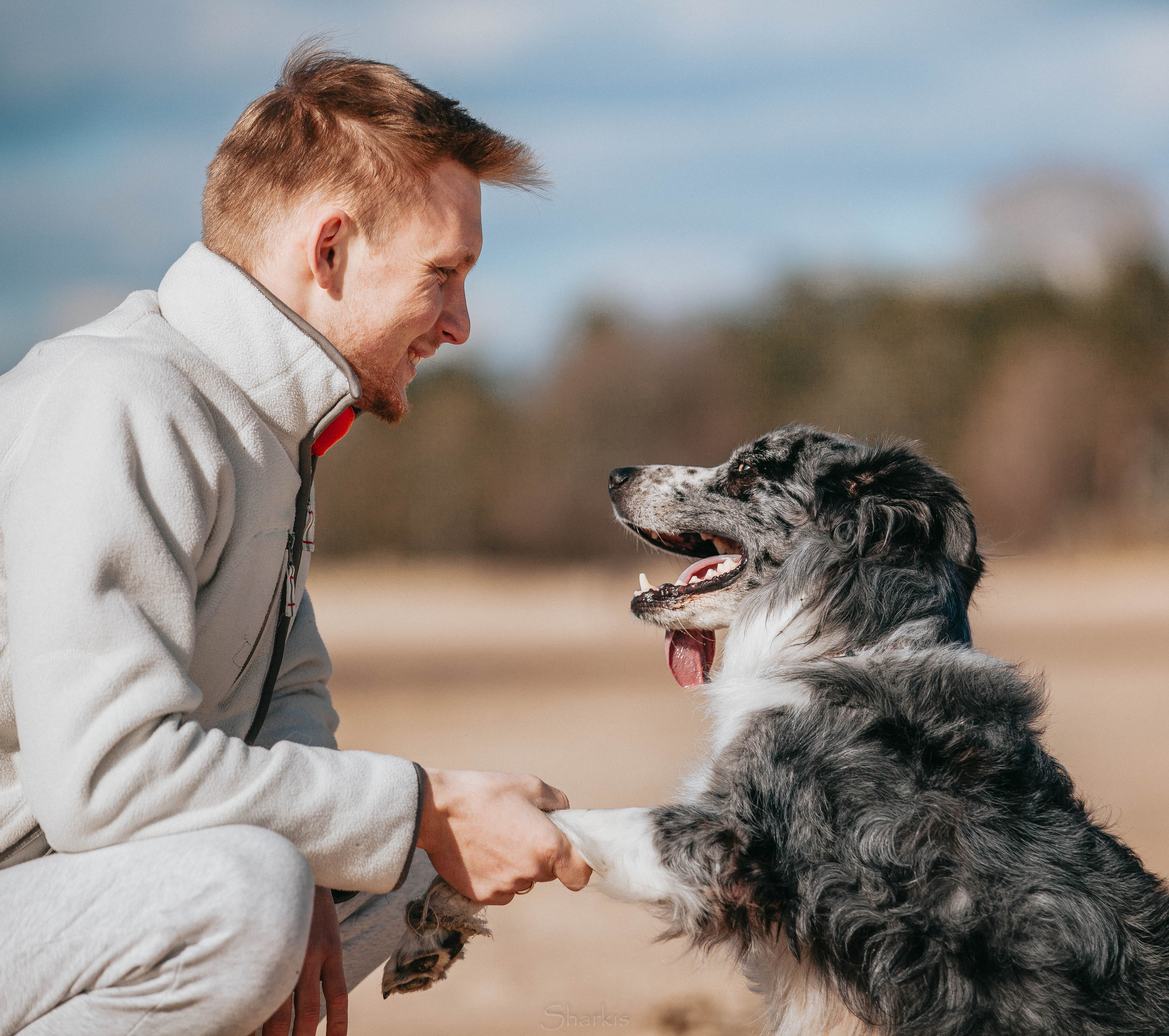 Бордюха, Лора, Берта, Мета. Главная
