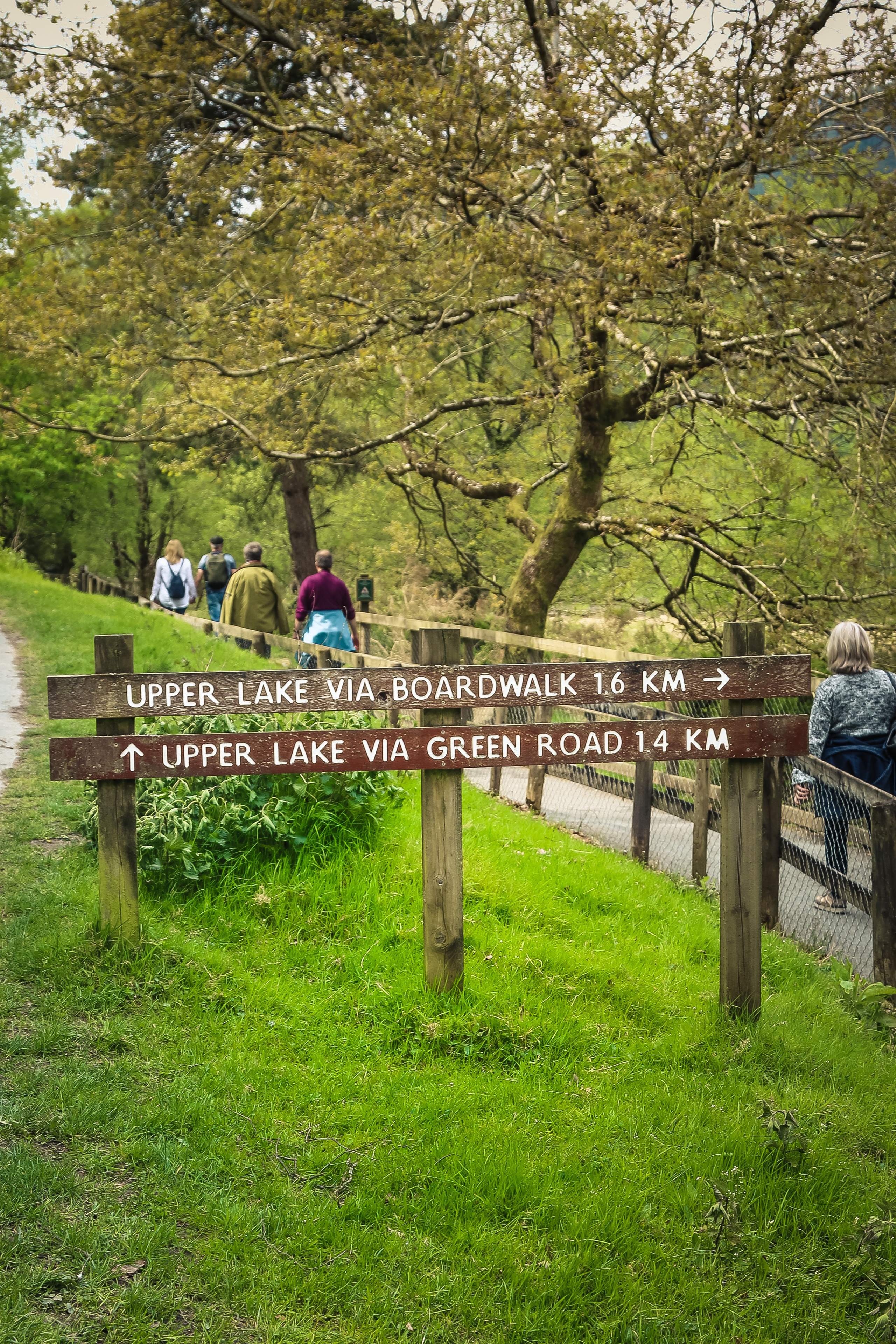 Ирландия: Горы Уиклоу. Дарья Письменюк / Darya Leitstern — фотограф, музыкант, журналист, путешественник