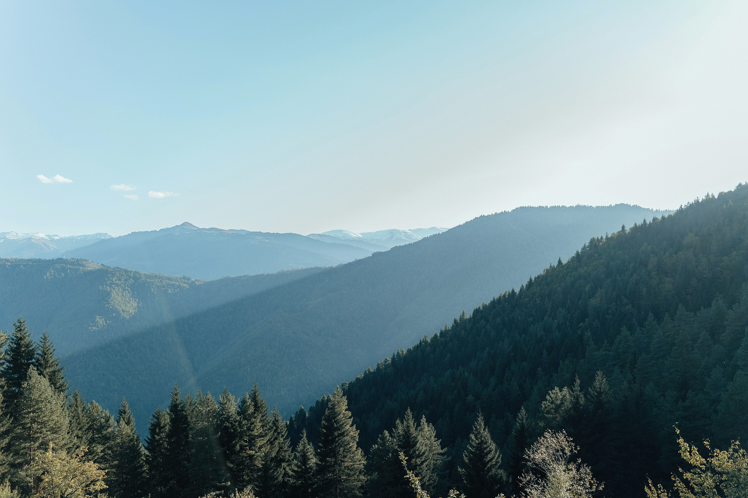 Misha & Lisa 🤍 wedding photo shoot in Tago. Photographer Sergey Otkrytyi in Batumi & Tbilisi