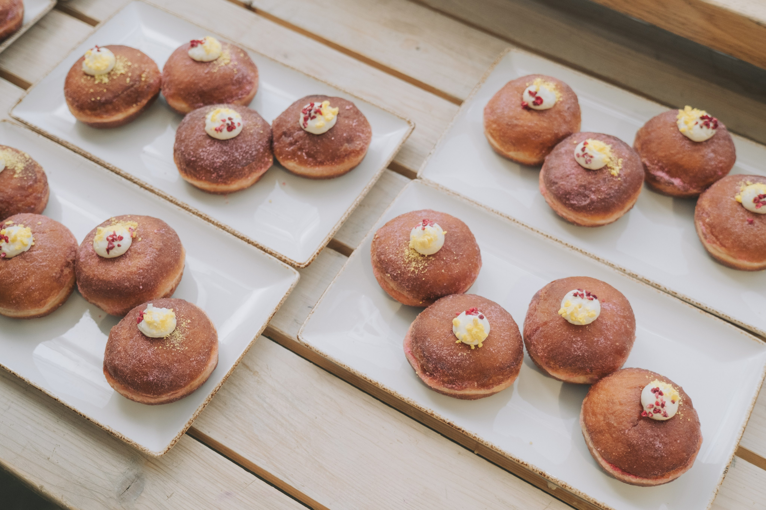 ПЕТ-БРАНЧ («РЕЛЬСЫ» Х «4 ЛАПЫ»). Главная