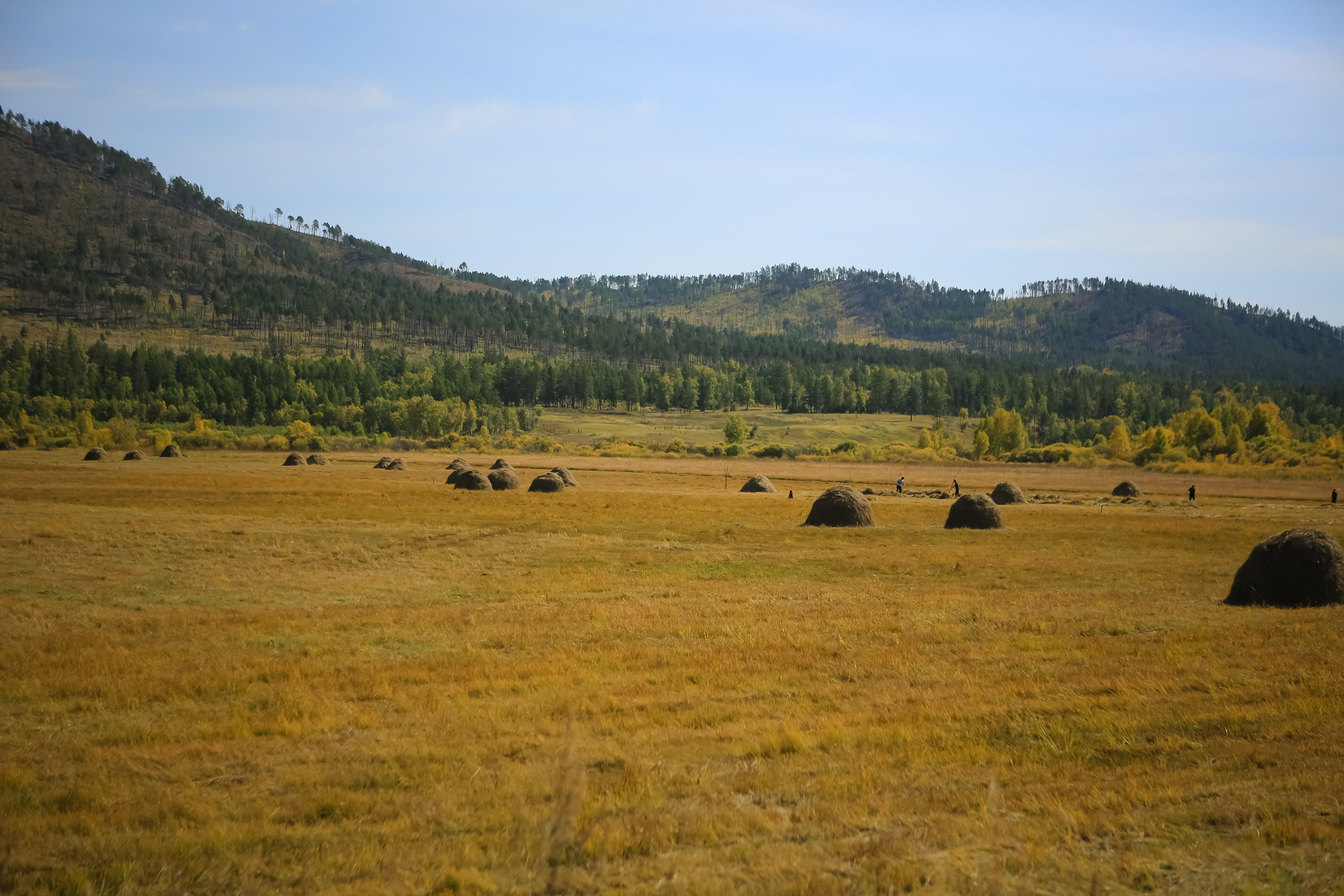 Фото Природы Забайкалья. Студия Максима Белослюдцева