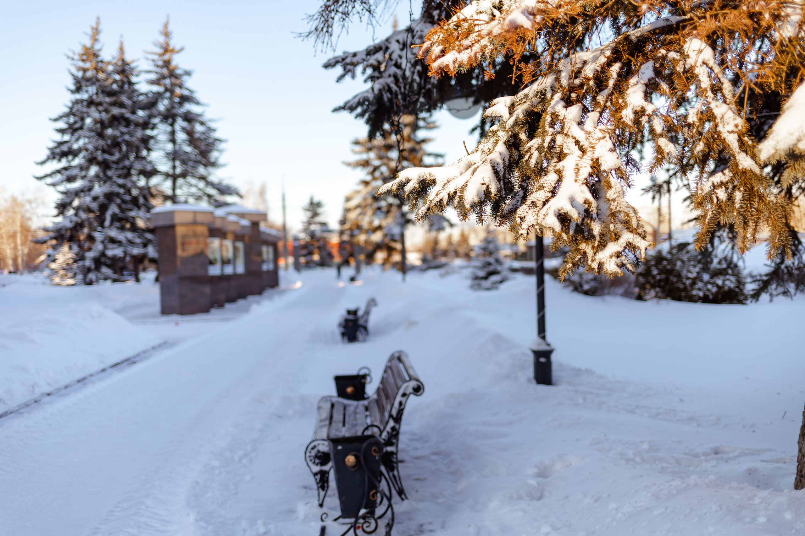 Фотосъемка природы, города, улиц. Инна Карцева Свадебный фотограф Тольятти
