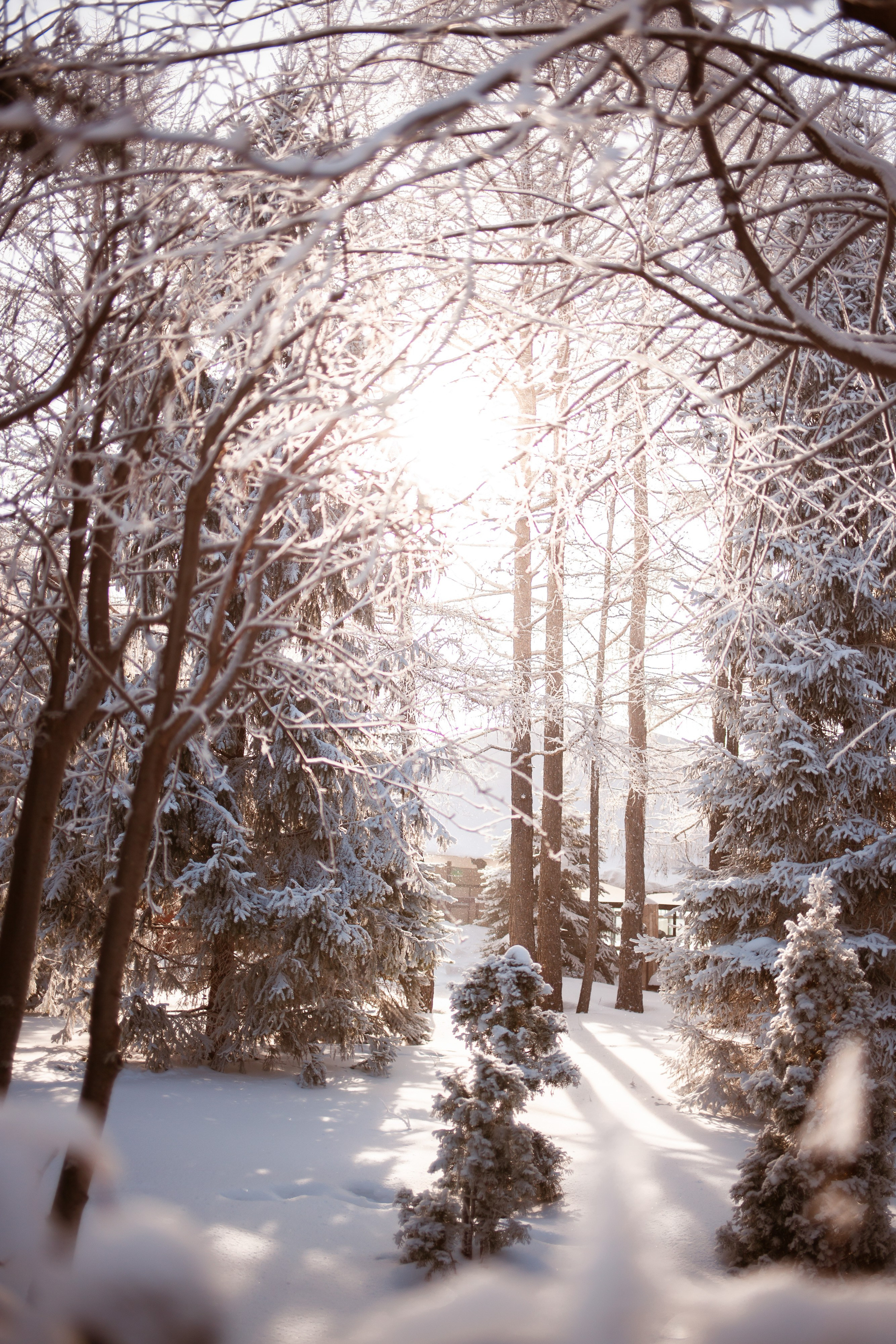 Фотосъемка природы, города, улиц. Инна Карцева Свадебный фотограф Тольятти