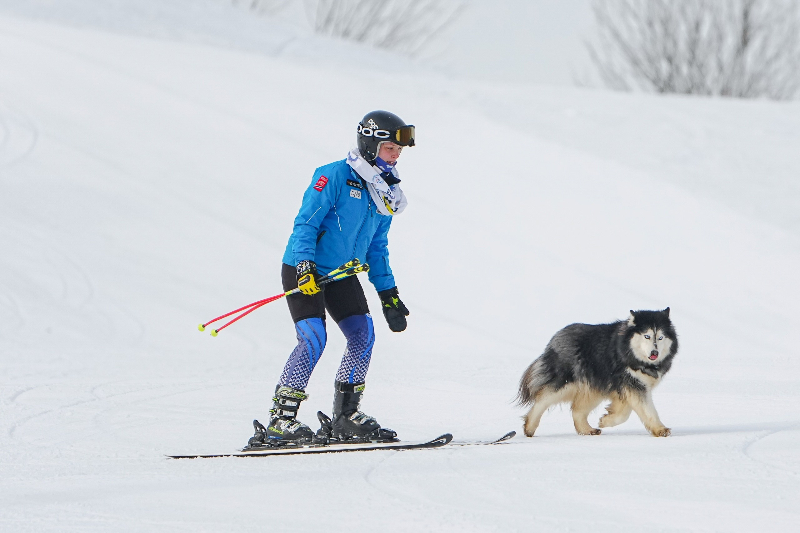 Шуколово. Приз Губернатора МО, GS, 2024. Фотограф Студитский Евгений