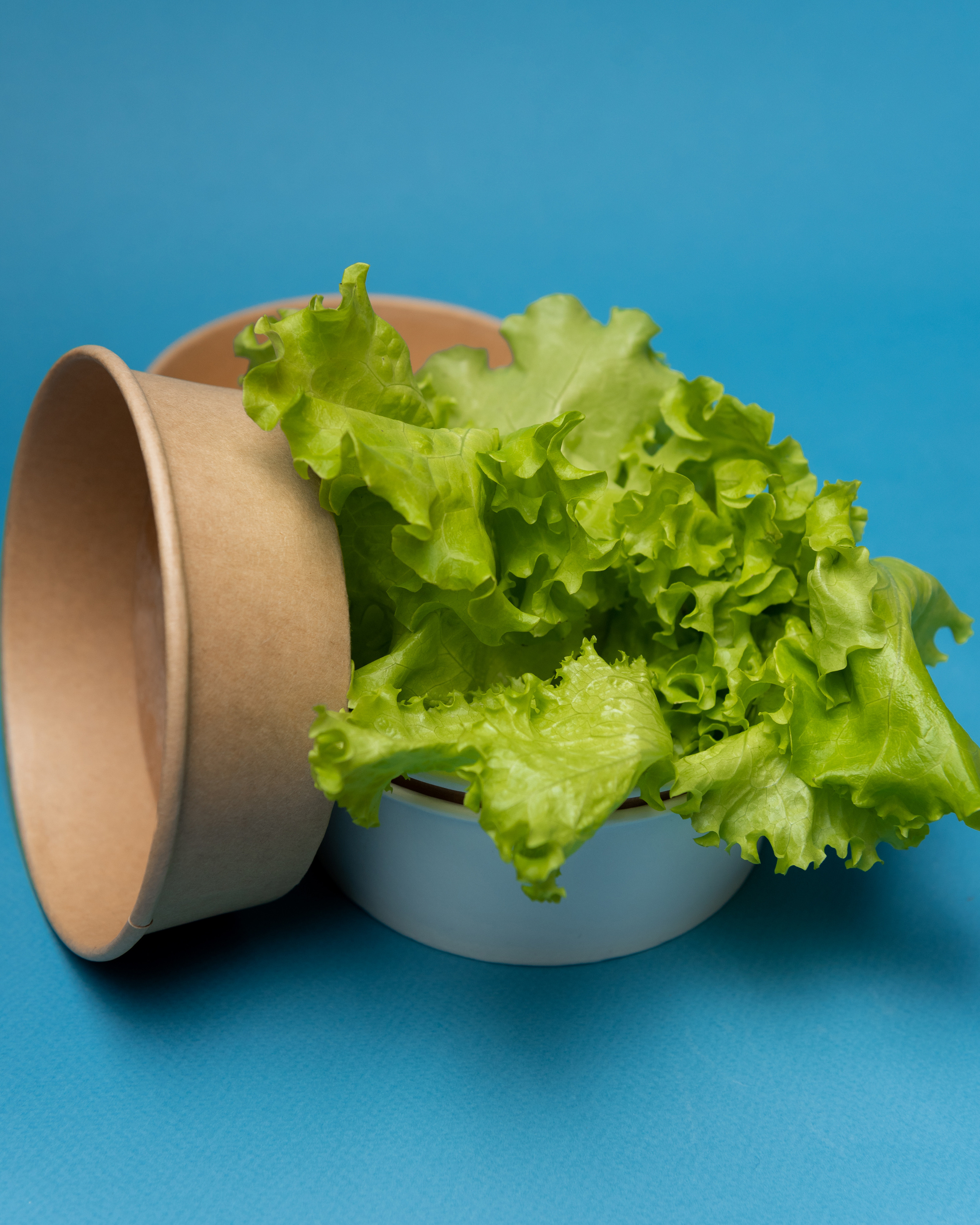 Эко — посуда Green Mystery. Фотограф в Волгограде Виталий Самойлов