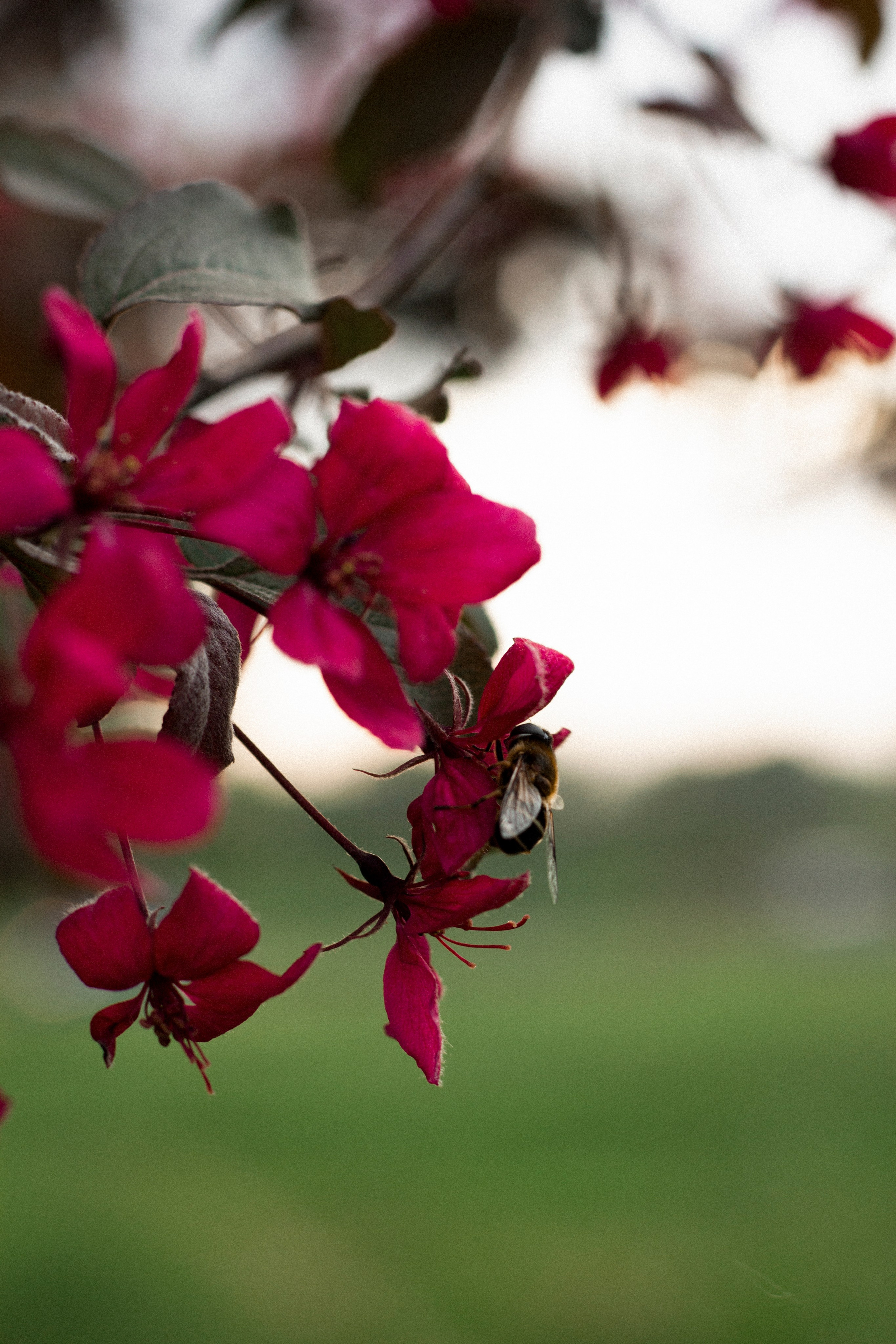 Катя, Кирилл, Тёма и Аня. Фотограф в Санкт-Петербурге Смирнова Диана