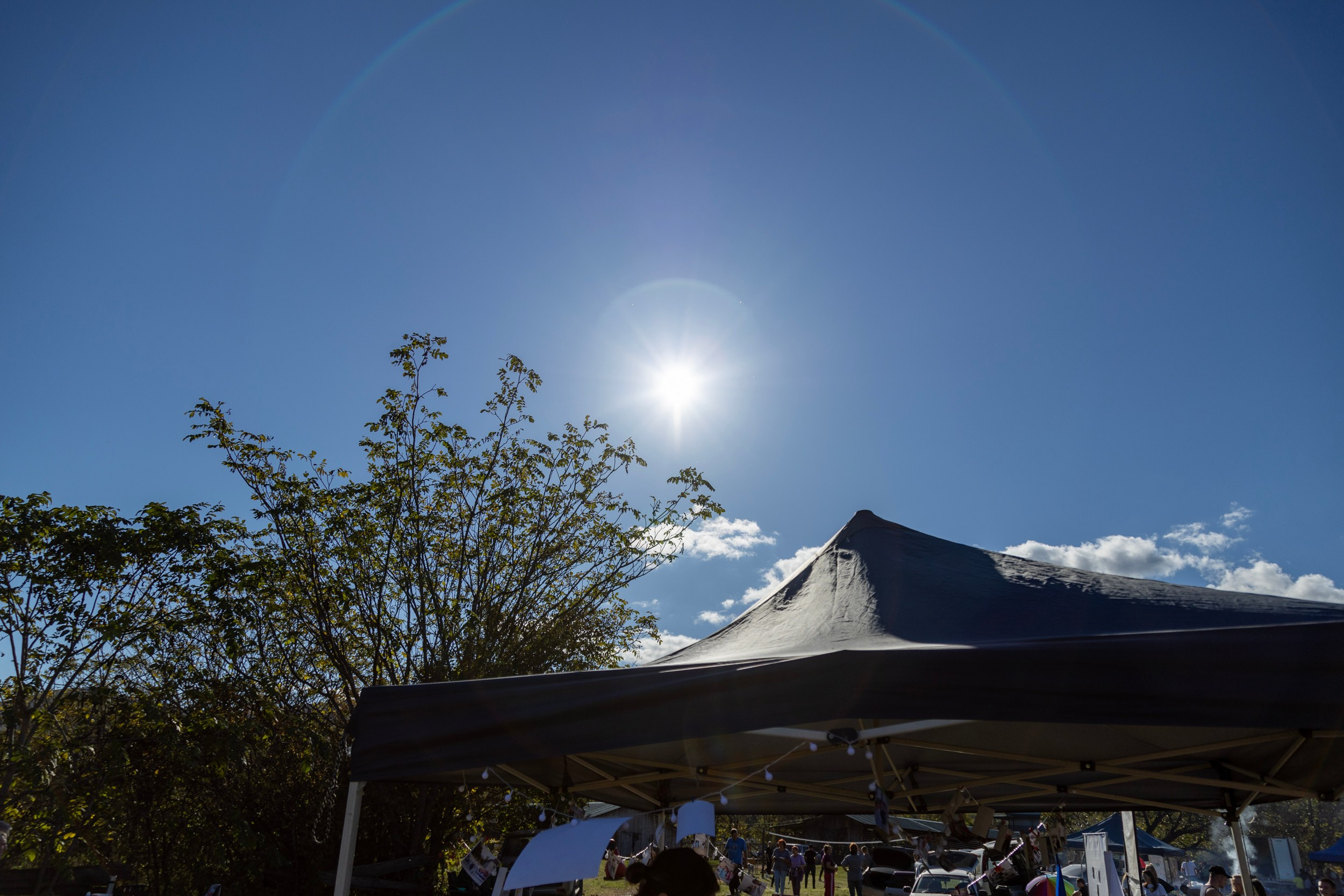 Фестиваль «Большой пикник», репортаж для ASAP Speedcubing. Репортажный и портретный фотограф в Владивостоке