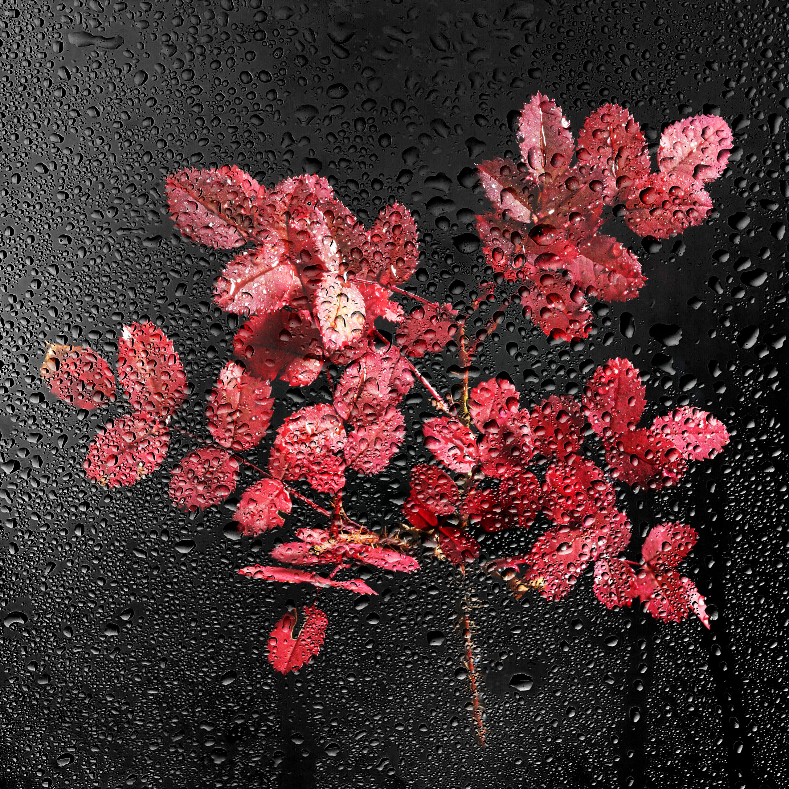 Предметная съемка. Пейзажный и семейный фотограф в Санкт-Петербурге Александр Белов