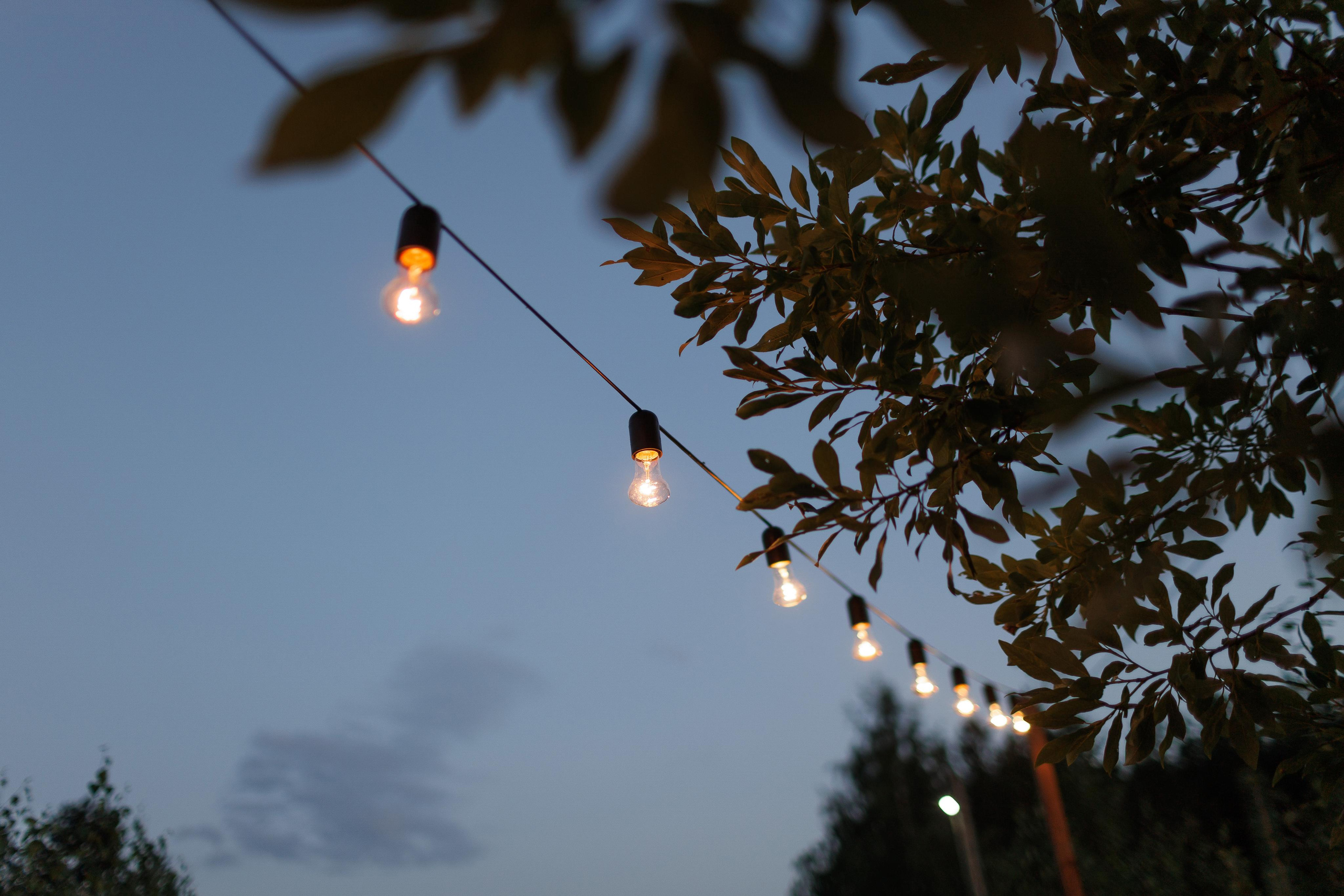 Аркадий и Полина 30 июля 2022. Свадебный и портретный фотограф в Сыктывкаре Слава Изъюров