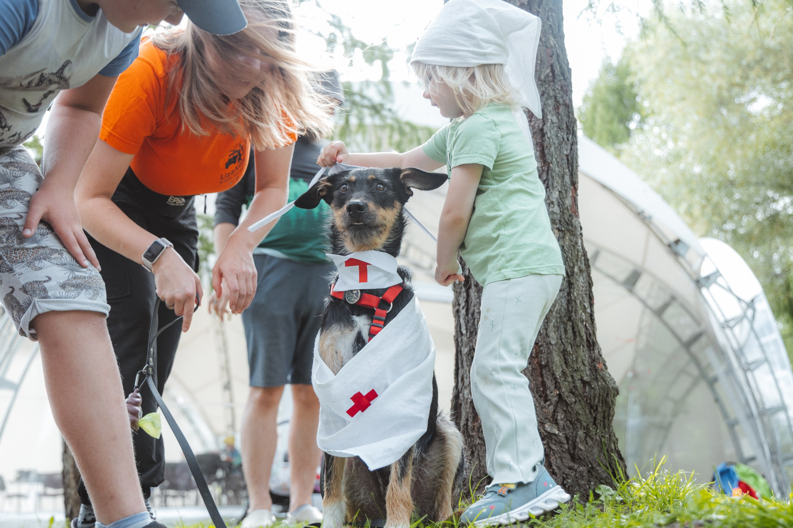День Фронтовой Собаки (поисково-спасательные собаки). Фотограф Ирина Астор
