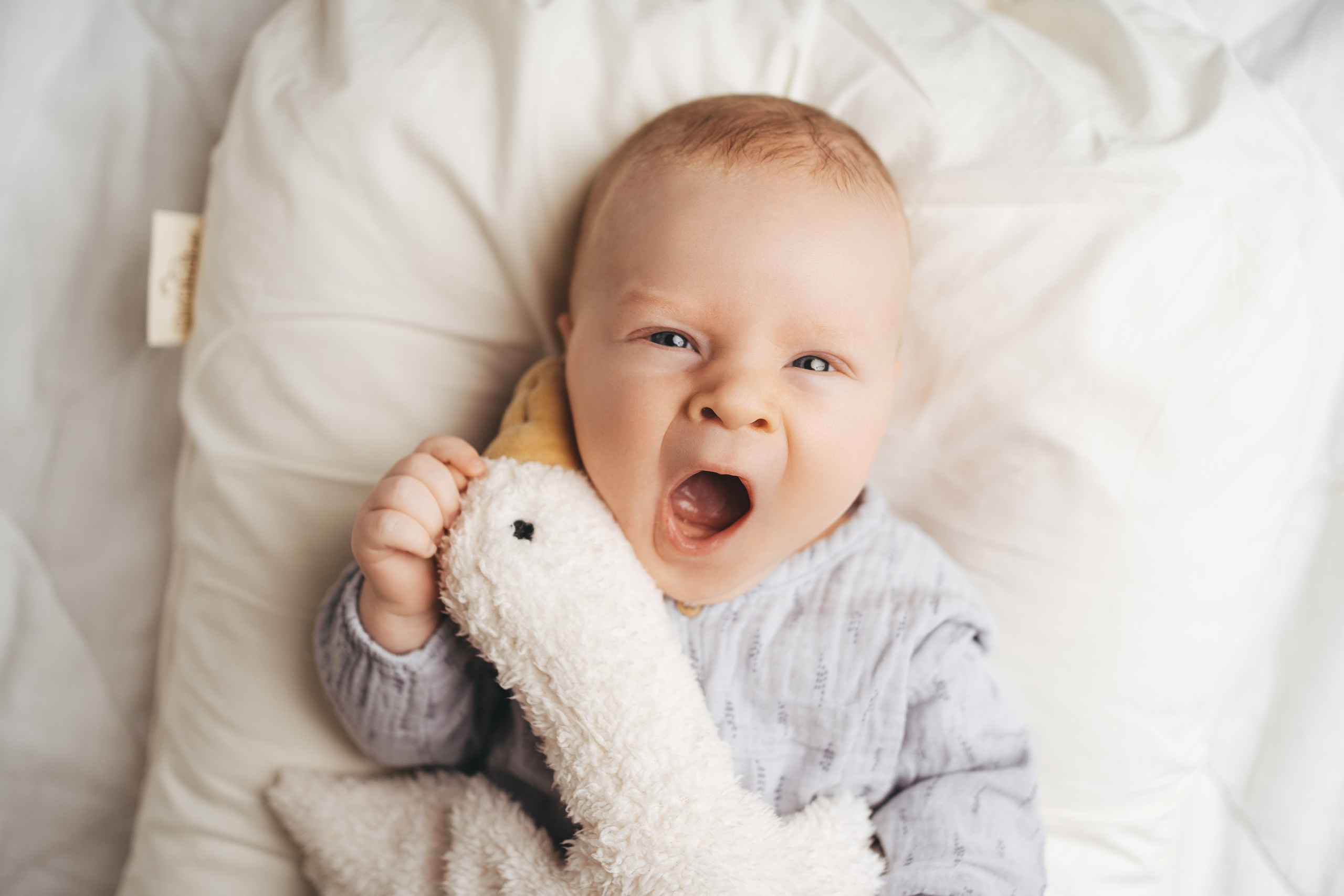 Федя, 2 месяца. Главная