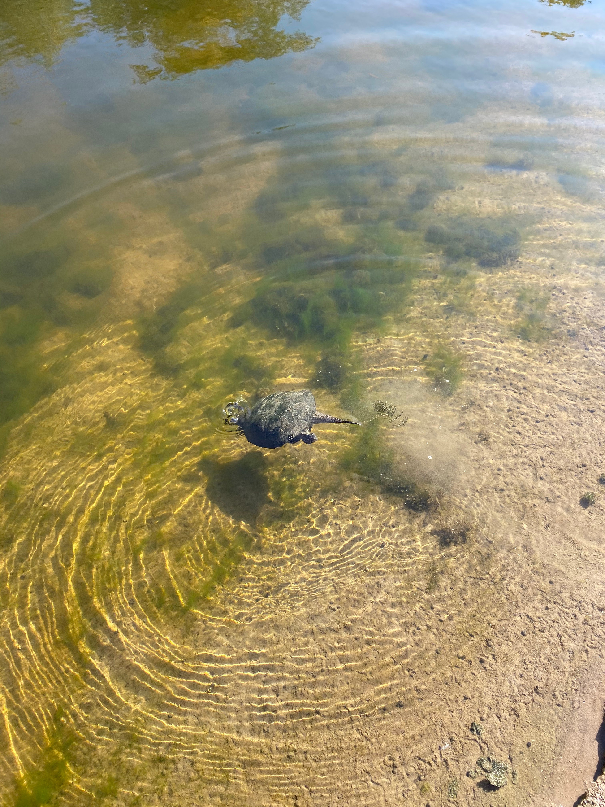 Астрахань — 20. Своя Мастерская