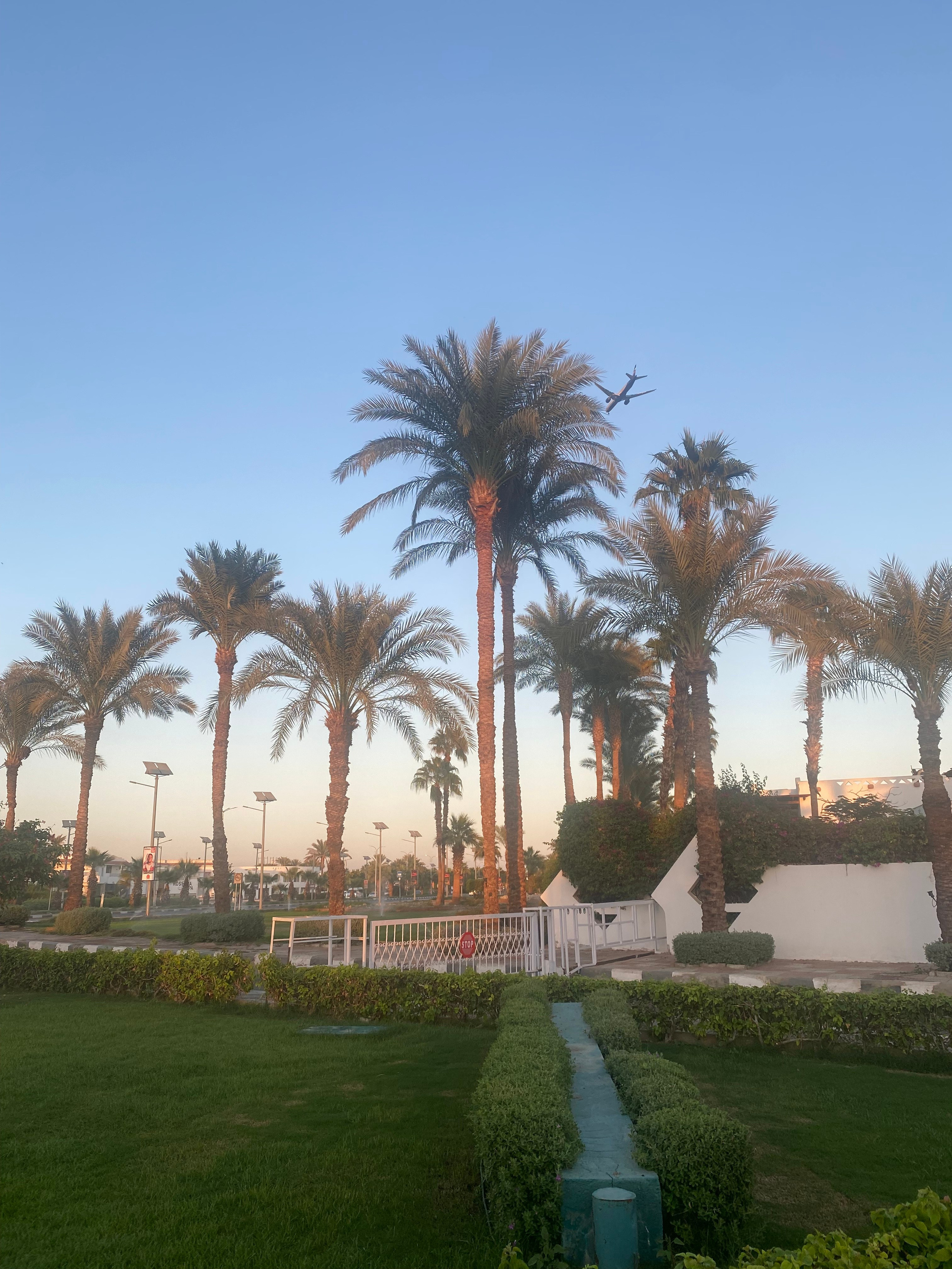 Египет&nbsp;— 21