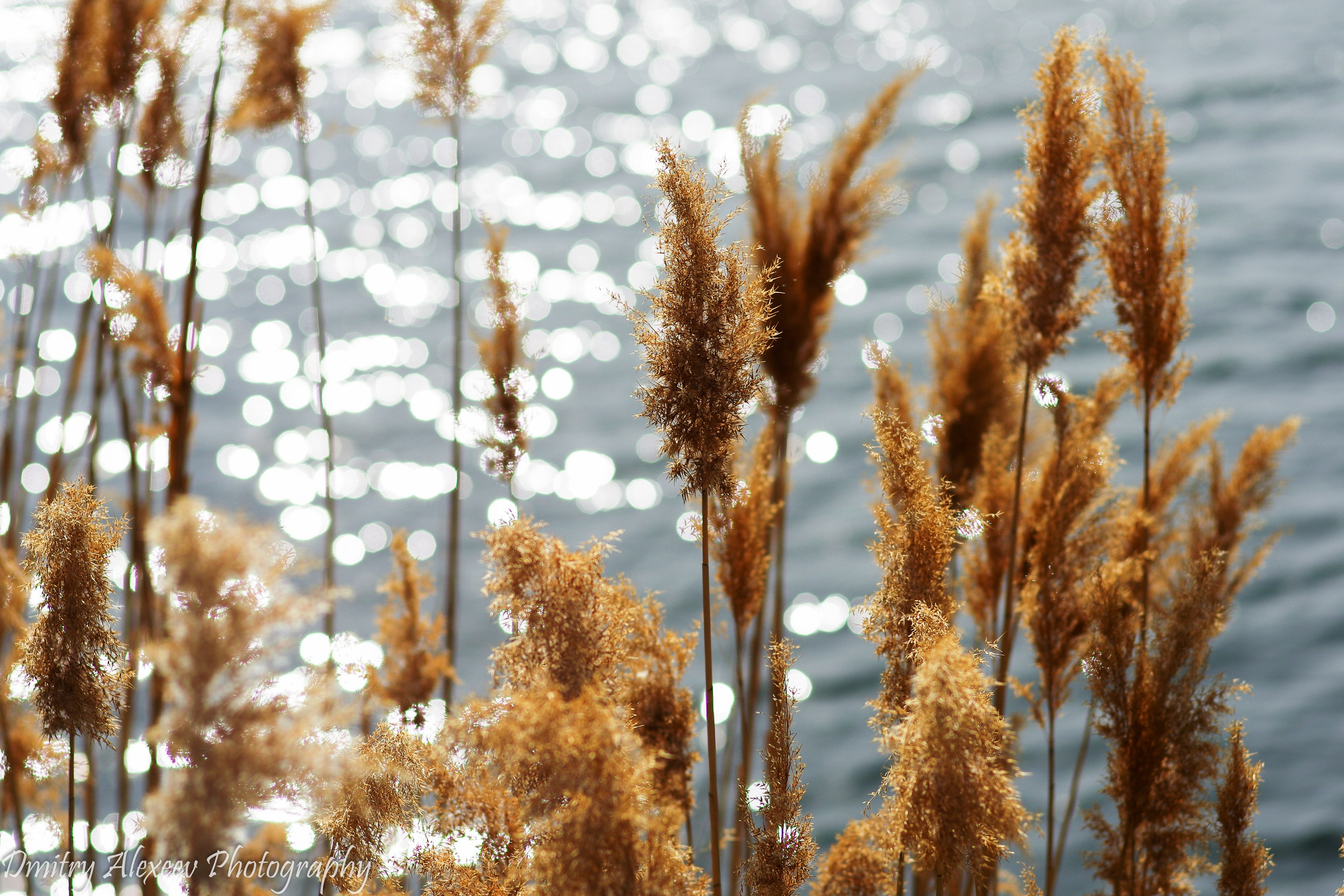 Пейзажи. Фотограф Дмитрий Алексеев