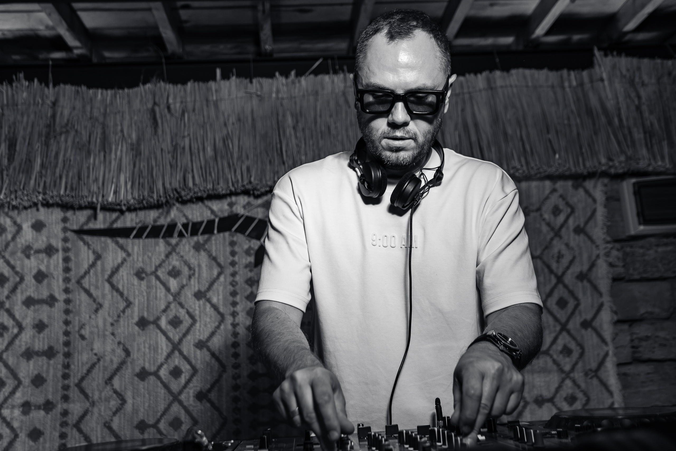 «LYRIQ"_Чайка на пляже_Ялта_15.08.2025 г. Аминов Руслан | Фотограф