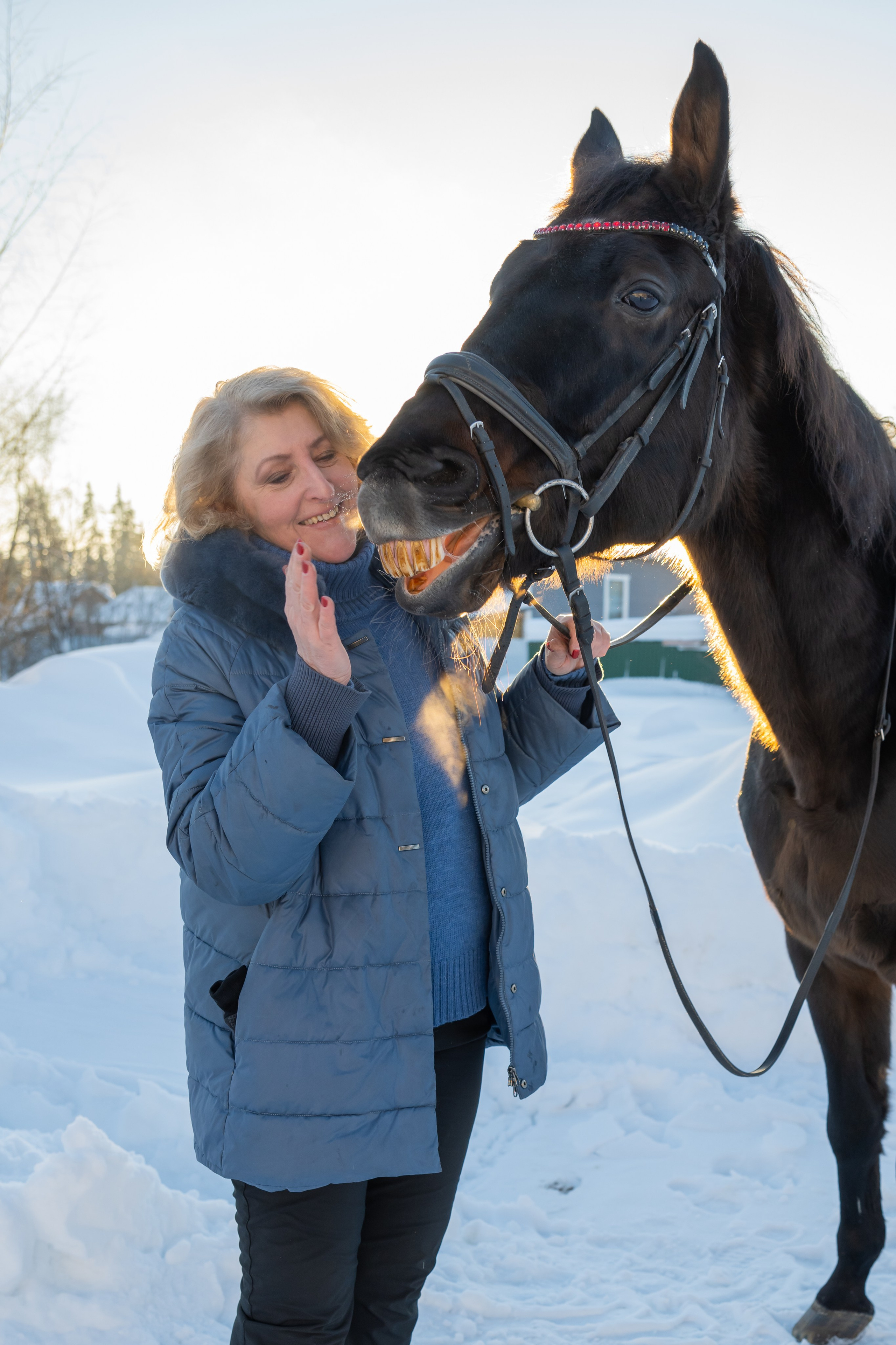 Конные прогулки. Фотограф в Санкт-Петербурге Александра Ладыгина