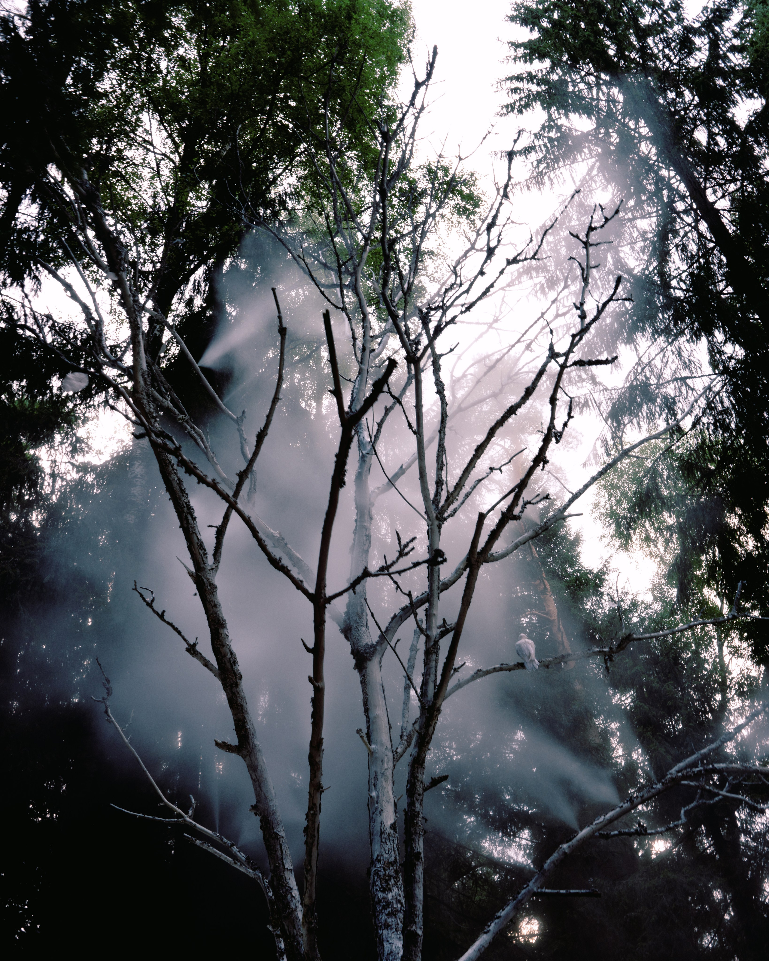 Outline 2024. @tomrus: Рустам Шагиморданов — фотограф