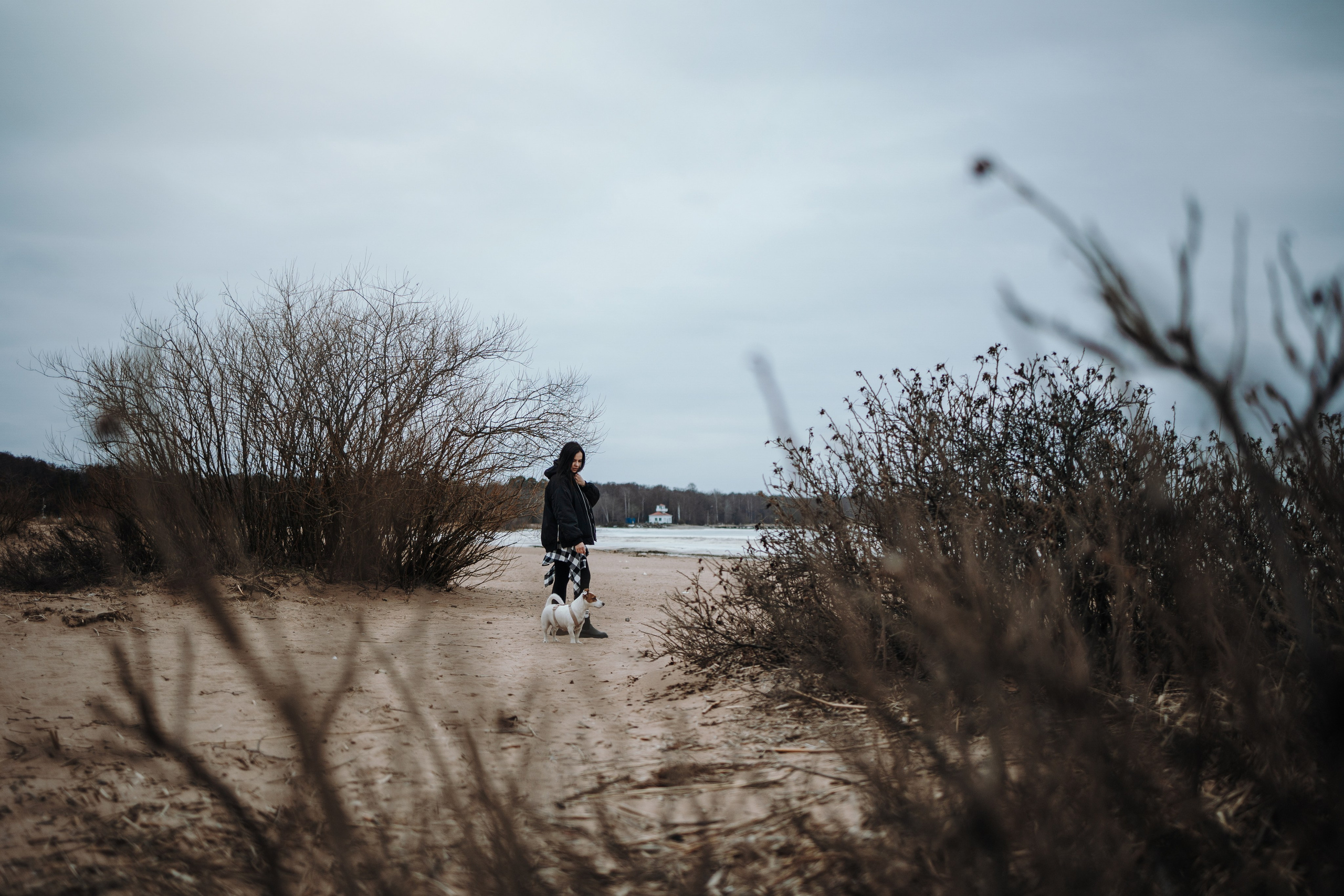 Саша и Джеки. Фотограф — Анималист | Санкт-Петербург