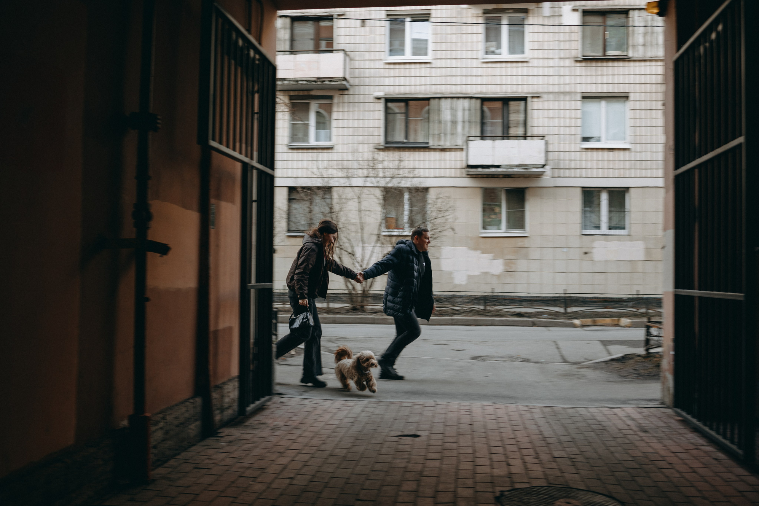Шкипер и его семья. Фотограф — Анималист | Санкт-Петербург