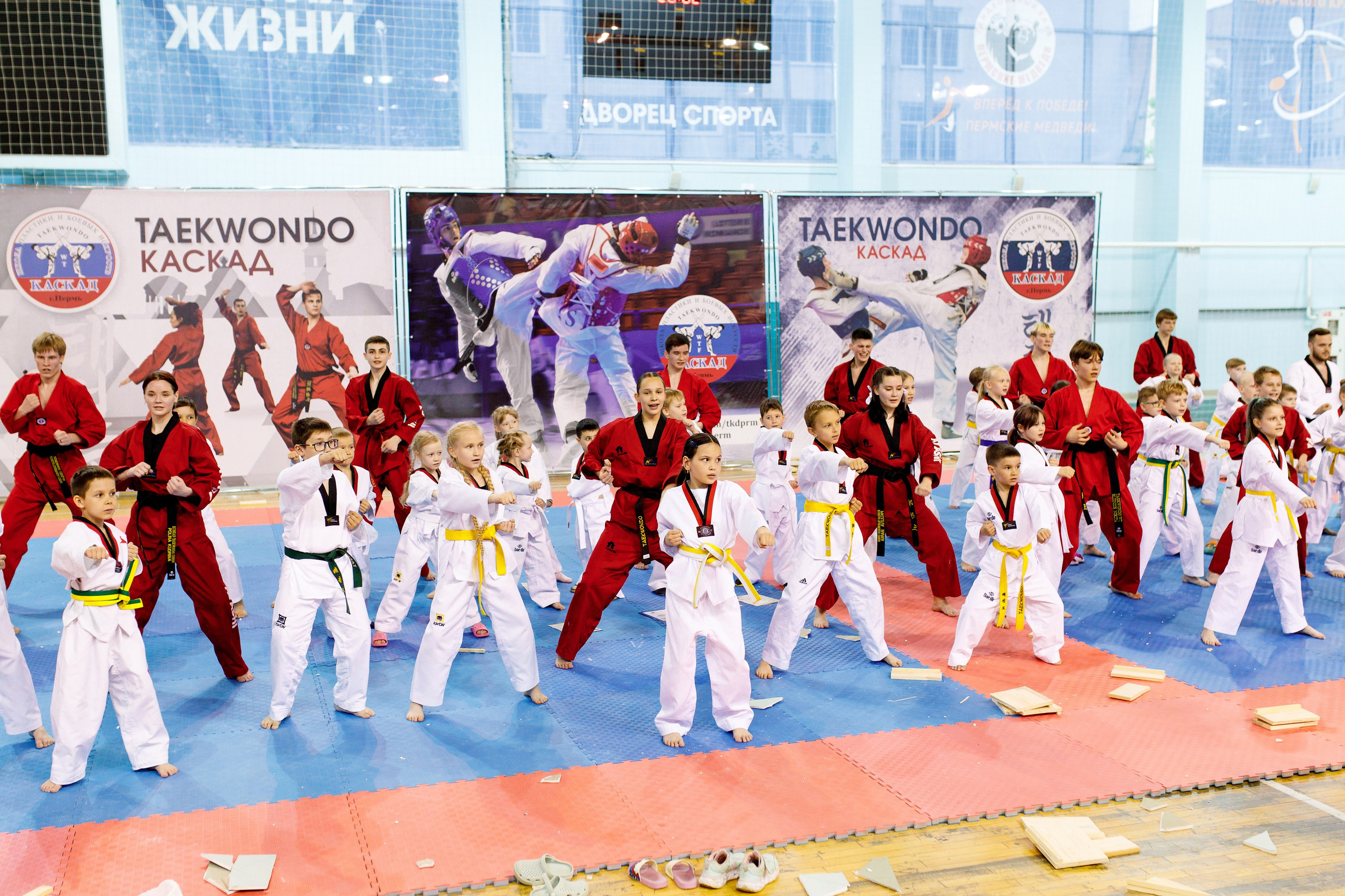 Тхэквондо СК «Каскад». Фотограф Дмитрий Молчанов | Фотограф Пермь | Фотограф