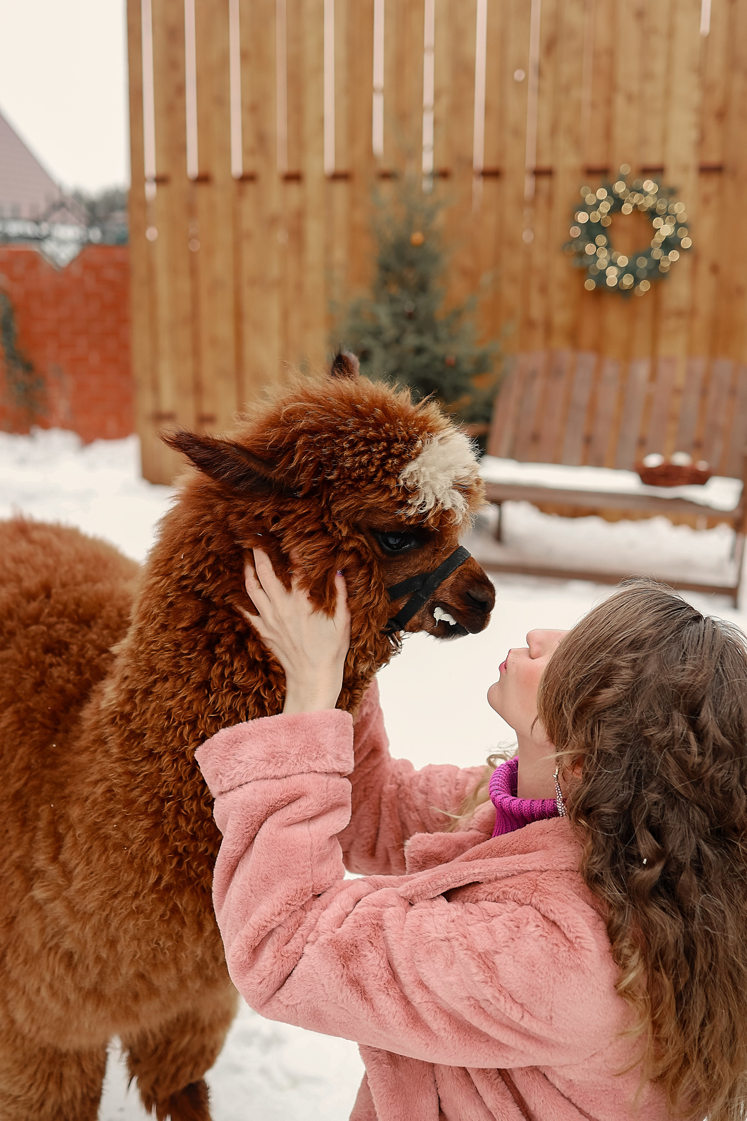 Фотосессия с Альпакой. Иванова Ирина Свадебный и семейный фотограф г. Уфа