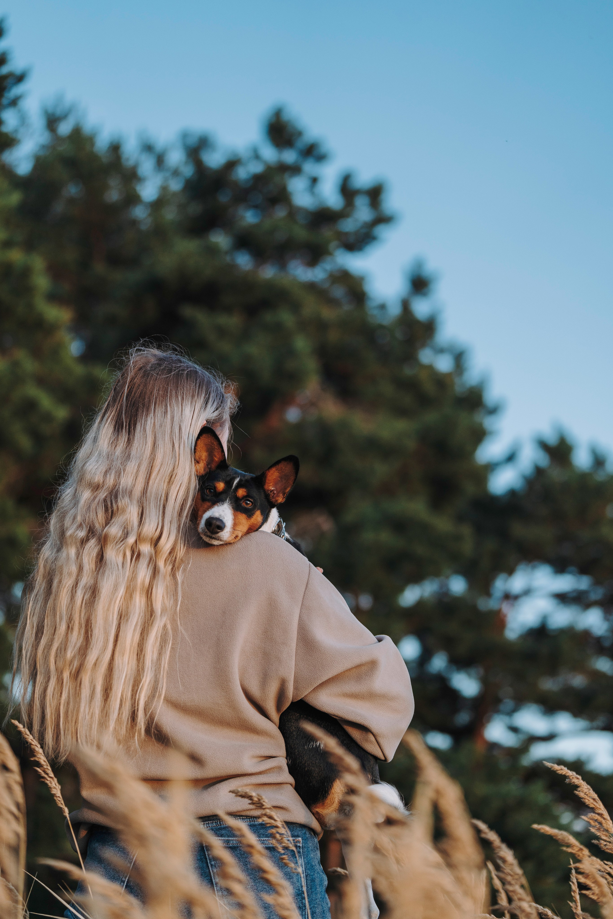 Екатерина и Дива. Фотограф анималист в Спб недорого Олеся Майорова