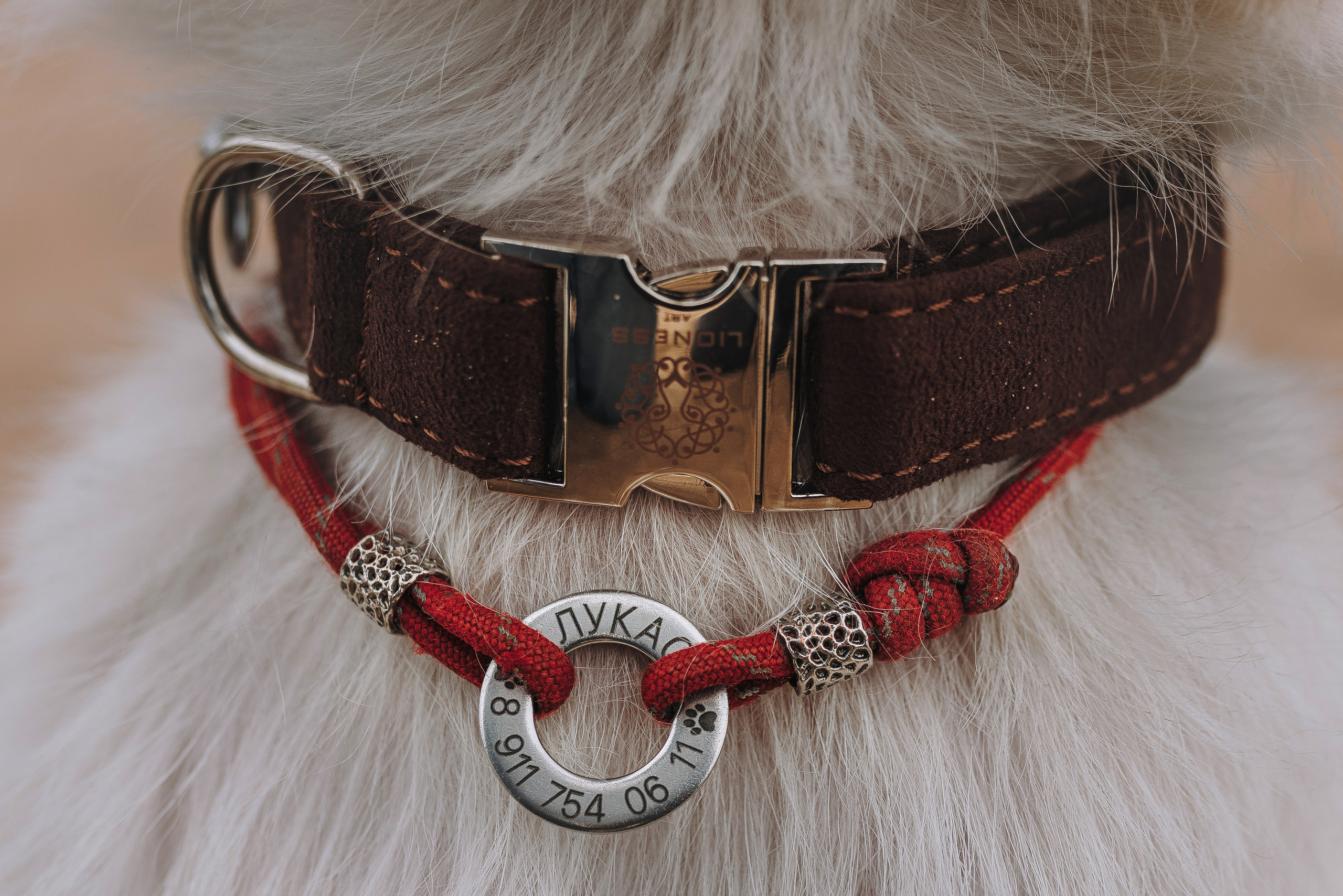 Оля, Ларс и Лукас. Фотограф анималист в Спб недорого Олеся Майорова