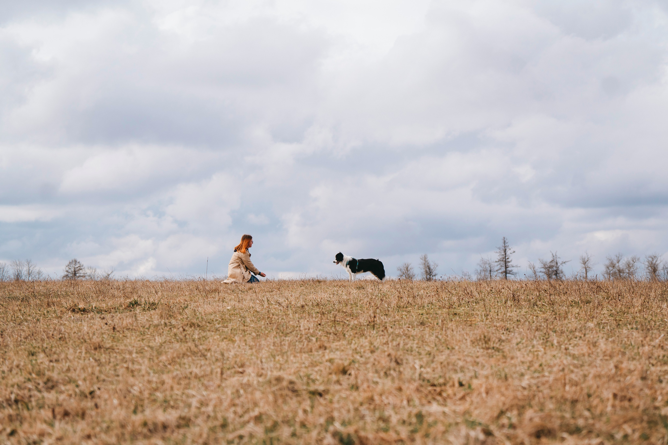 Нил и Алёна. Фотограф анималист в Спб недорого Олеся Майорова