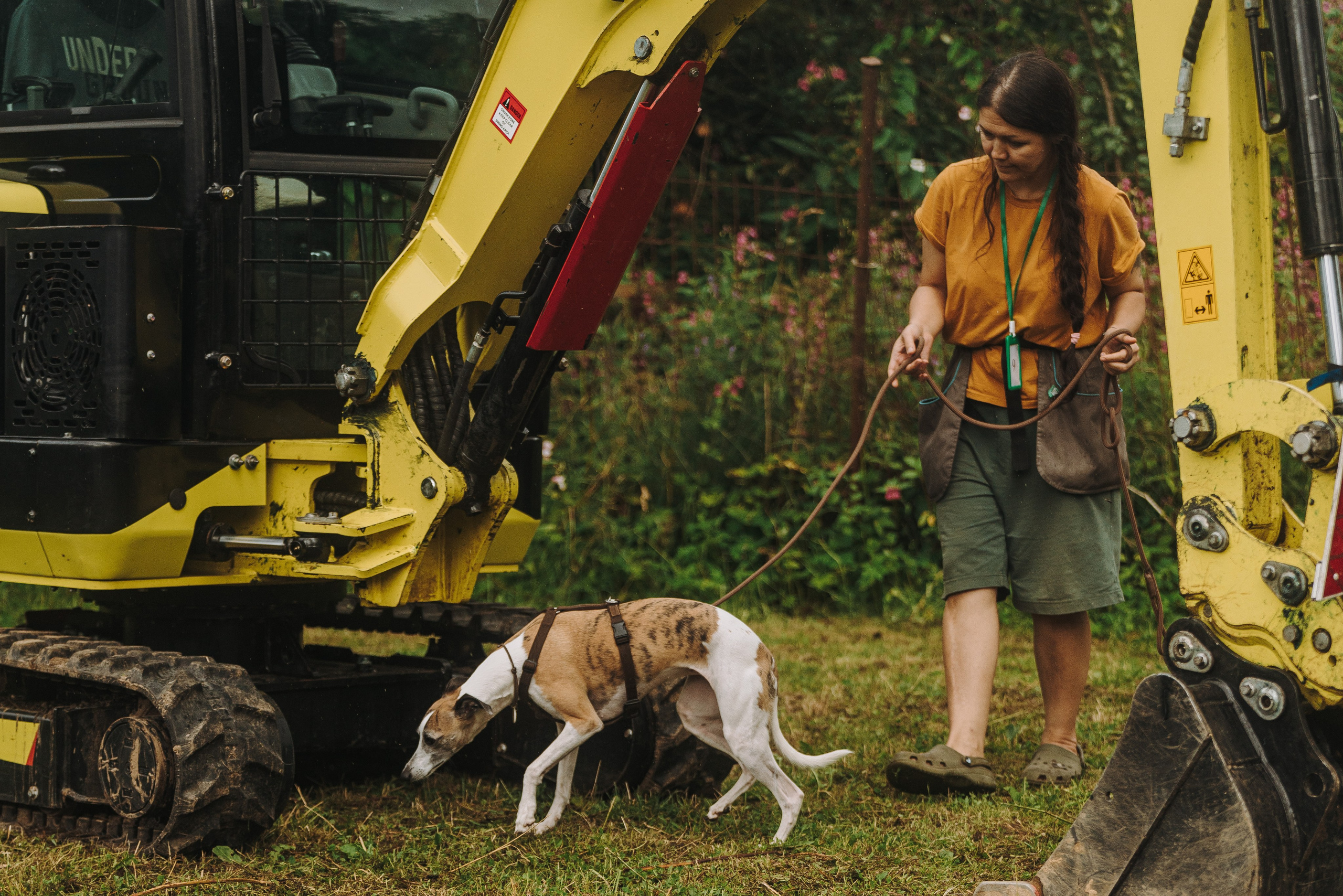 Соревнования по ноузворку в Новожилово. Фотограф анималист в Спб недорого Олеся Майорова