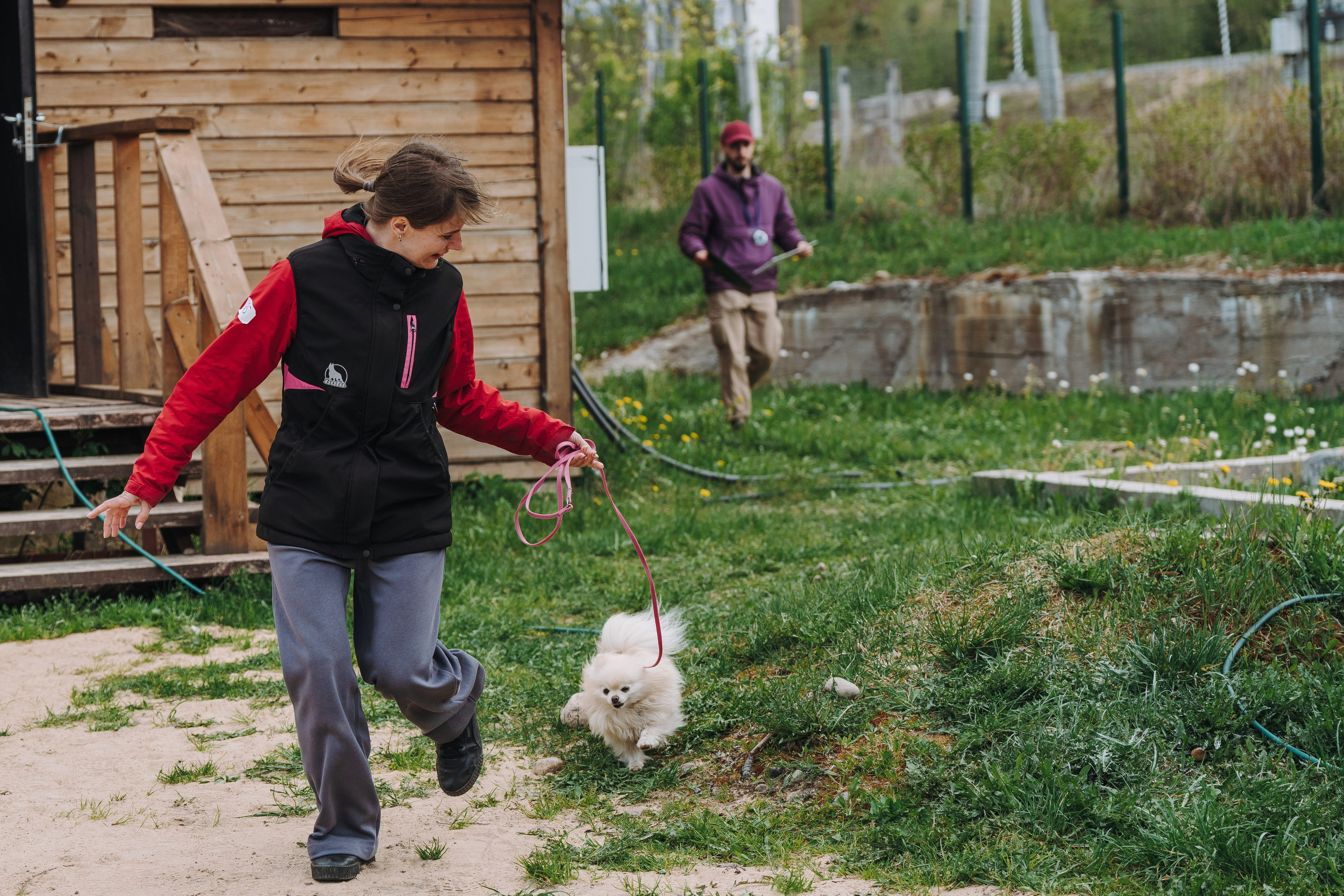 Соревнования по ноузворку в Лосево. Фотограф анималист в Спб недорого Олеся Майорова