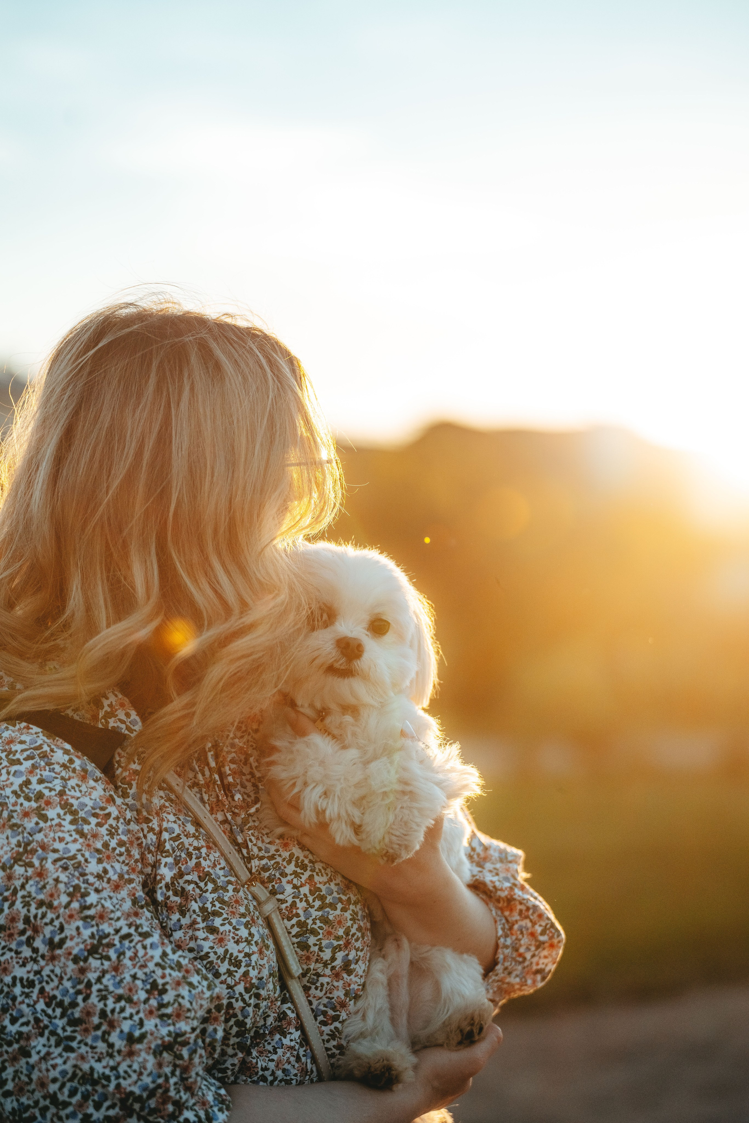 Фотосессия с питомцем в центре Санкт-Петербурга. Фотограф анималист в Спб недорого Олеся Майорова