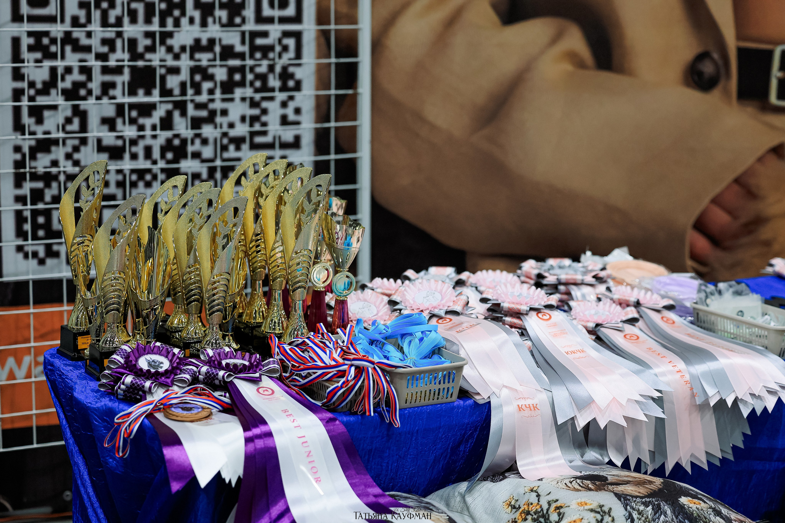 выставка собак в Новосибирске ABSOLUT WINNER-2026, Рейтинговая выставка собак