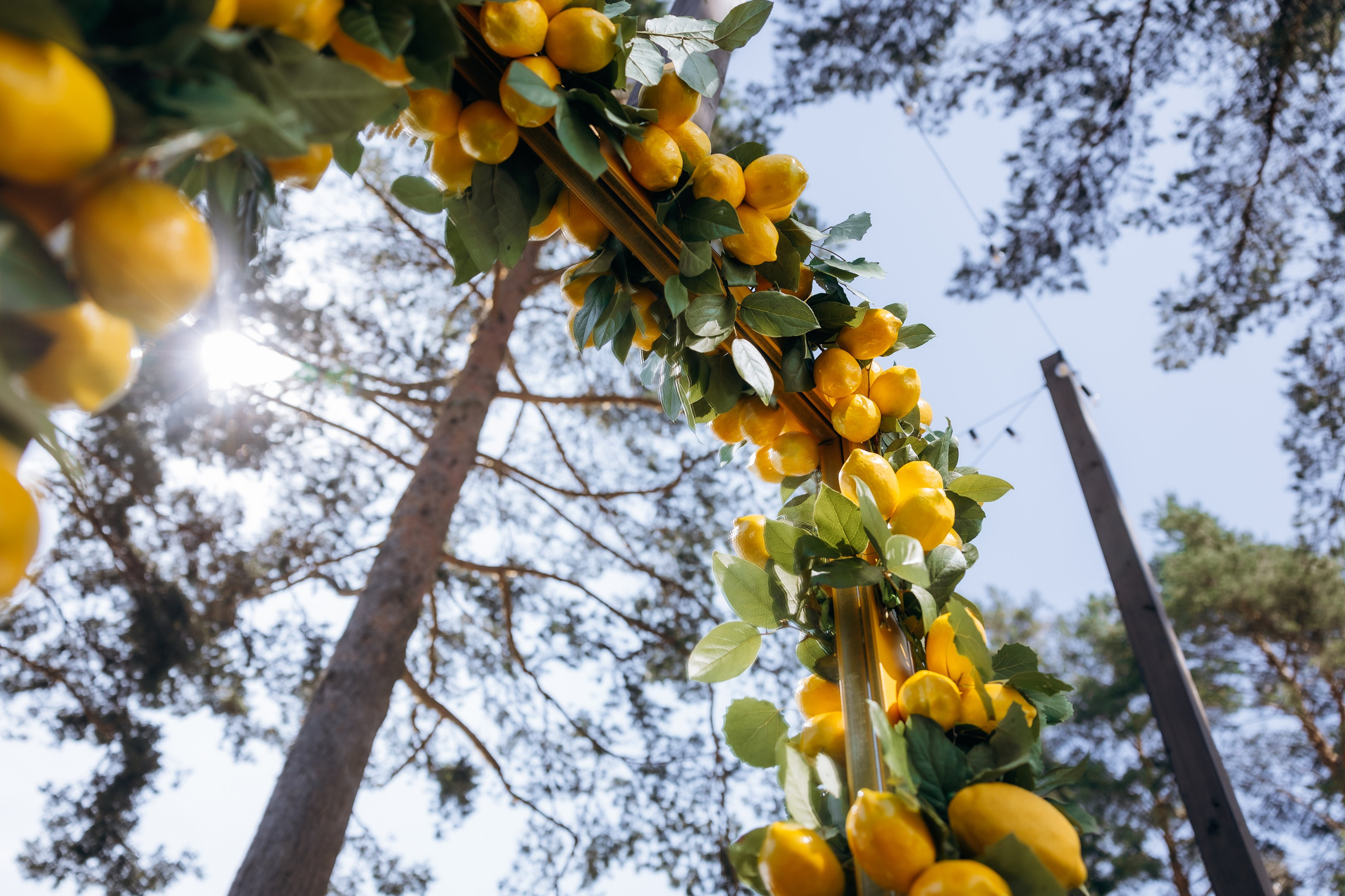 Корпоратив La Dolce Vita. Фотограф Виктория Дунаевская в Санкт Петербурге