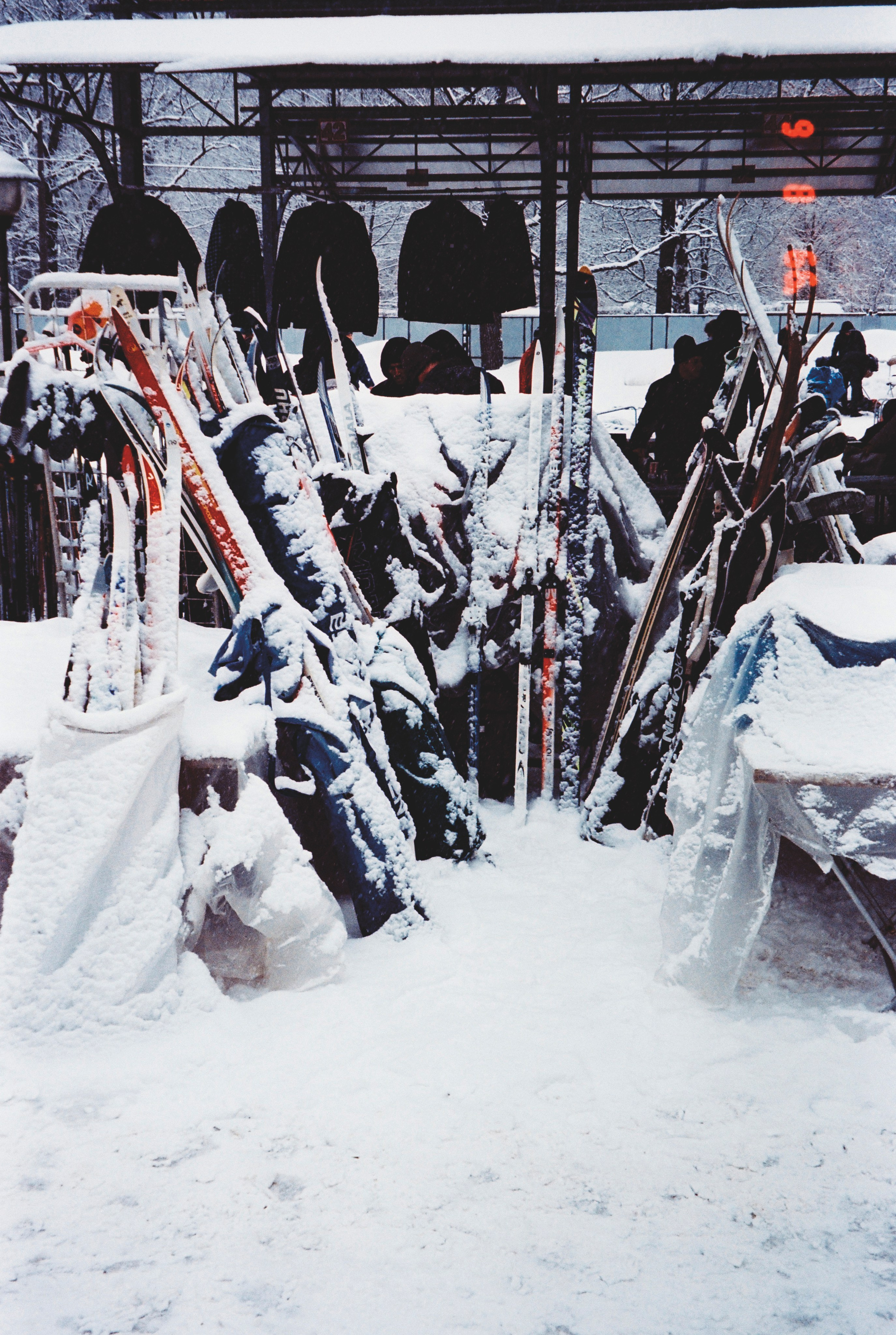 Фотографии цветные. Свадебный и семейный пленочный фотограф в Петербурге Истомина Ирина