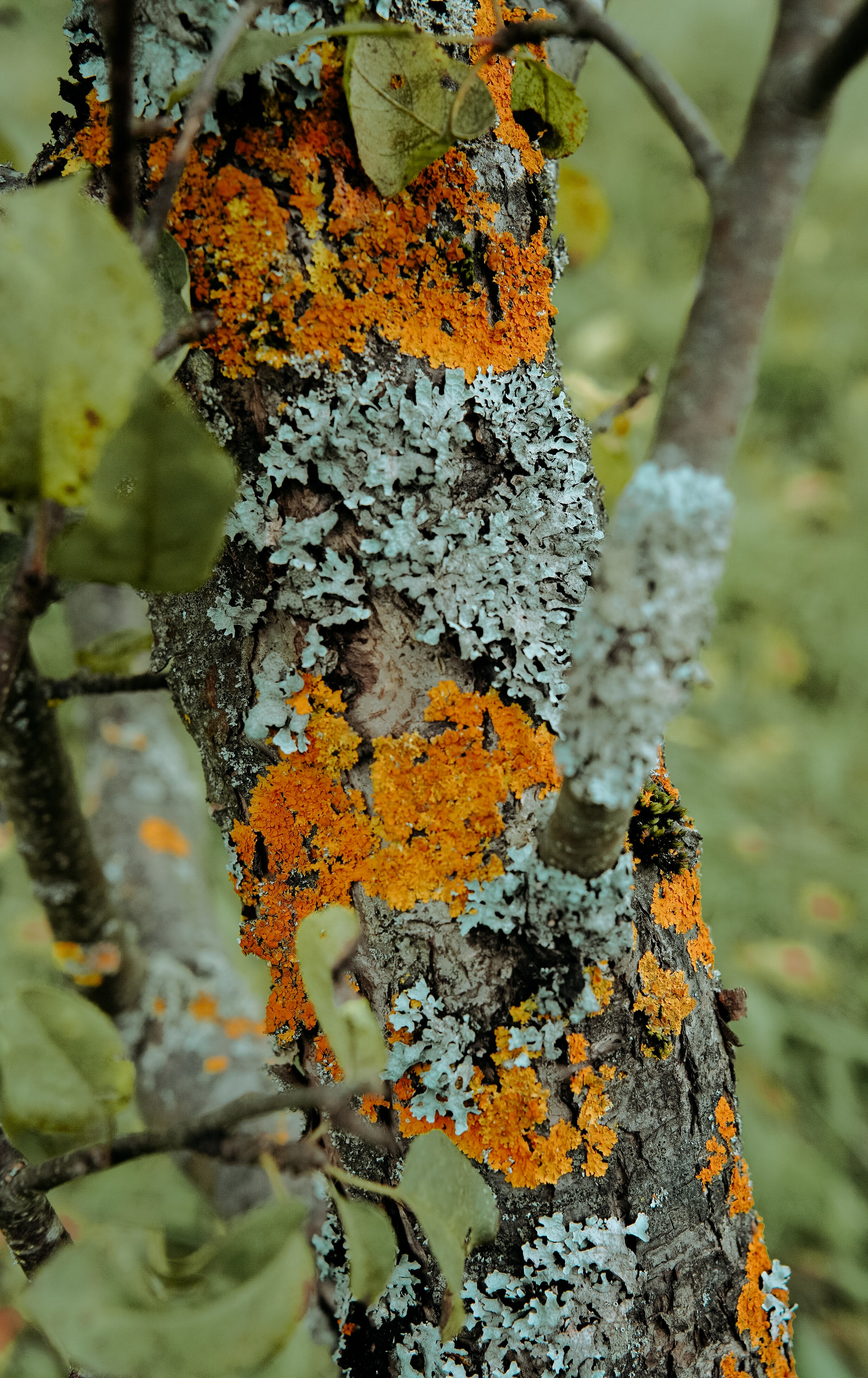 Осень 2025. Фотограф из Москвы — DASHA NOVA | Авторская фотография в разных жанрах