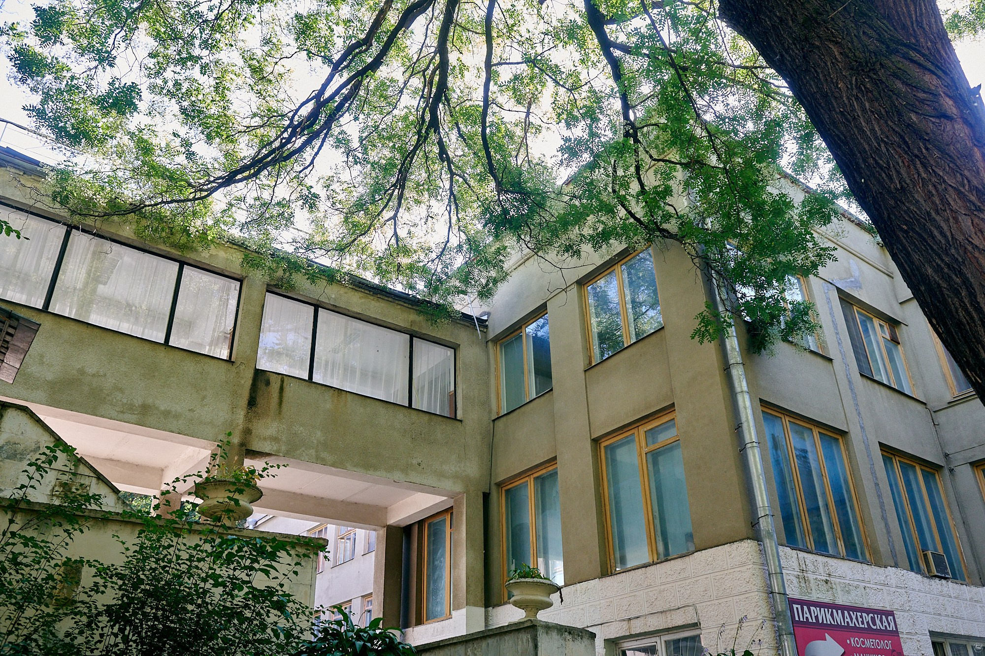 Санаторий им. Семашко, Кисловодск, август 2024. Фотографии отовсюду и обо всем