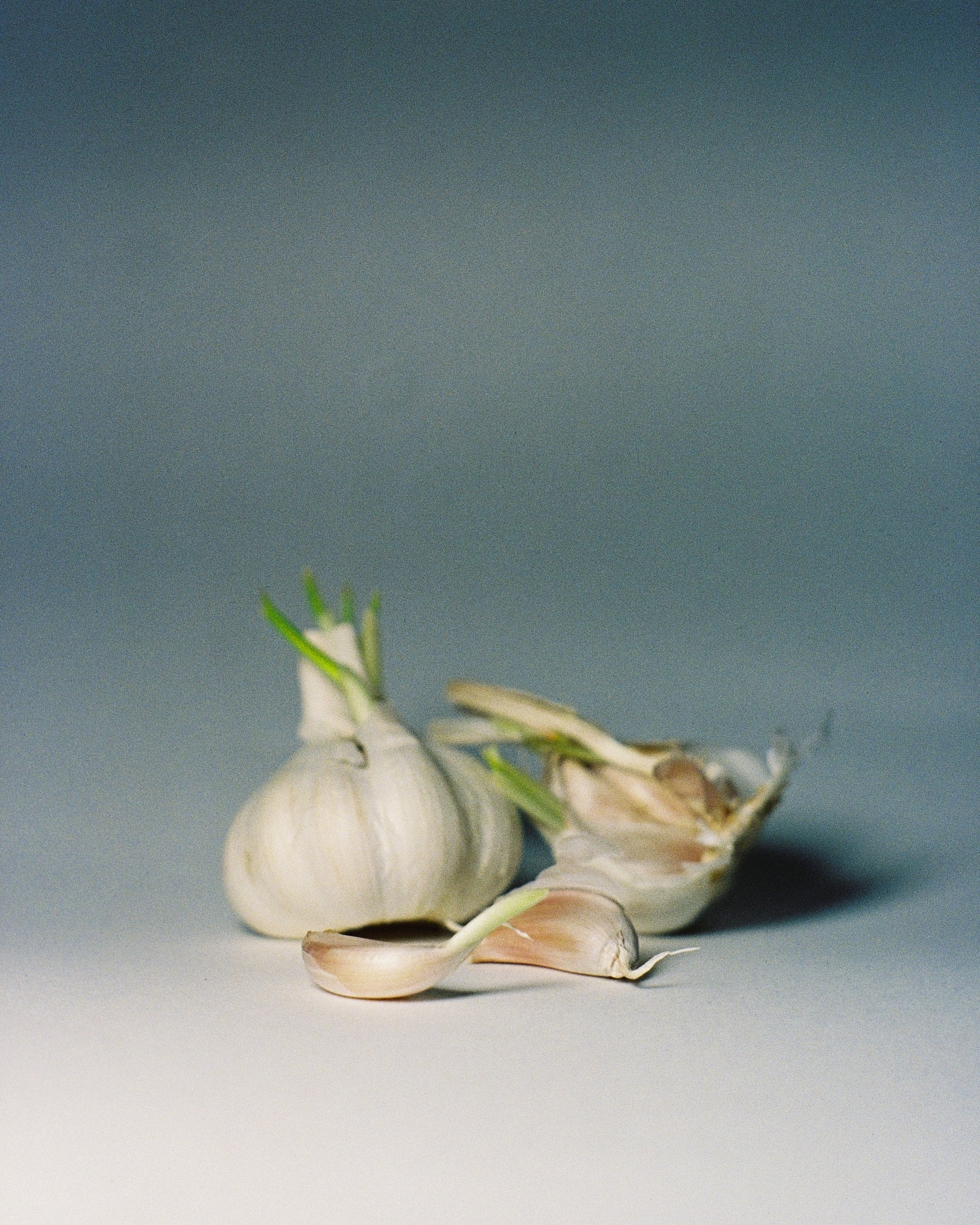 FOOD. ANNA — PHOTOGRAPHER