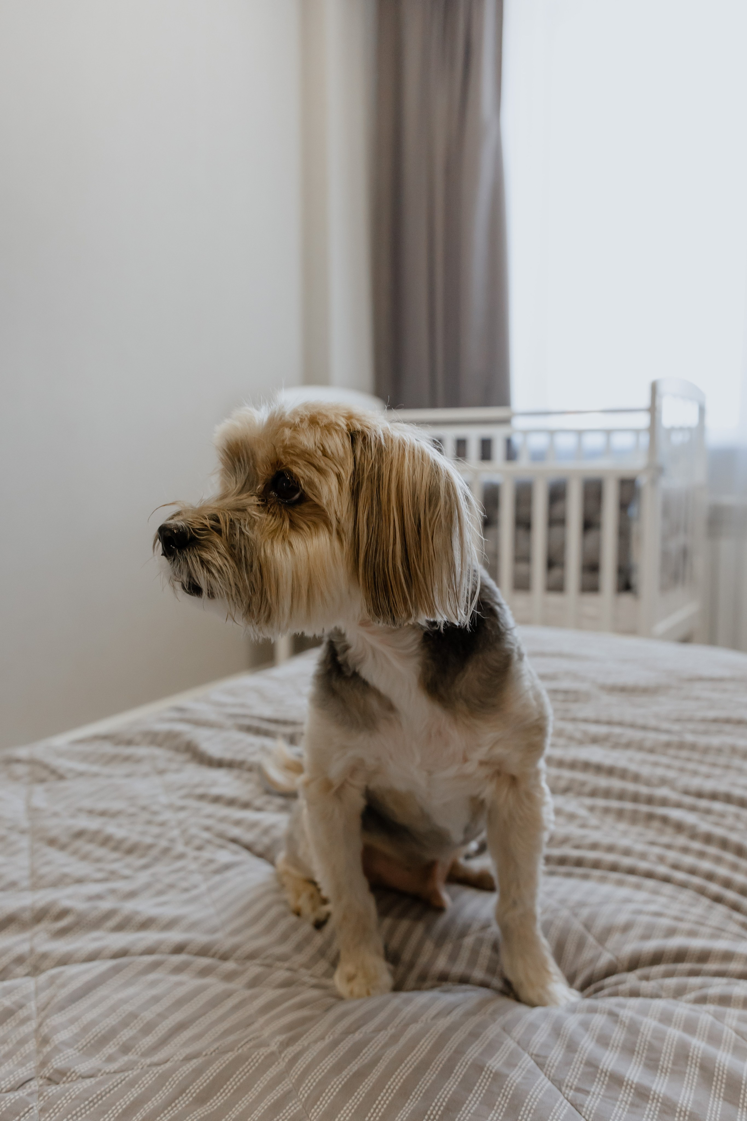 Домашняя съемка. Фотограф в Новосибирске Екатерина Васильева