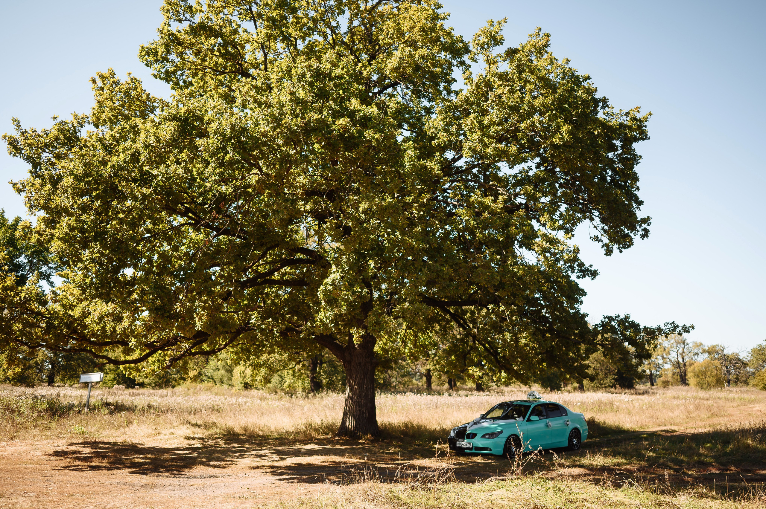 Свадебные съёмки. Свадебный фотограф в Рязани Тимофей Лапшинов