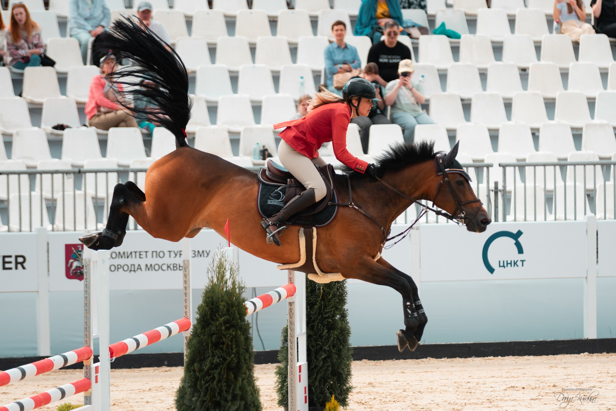 BITRIVER CUP 2023. Конный фотограф Куракина Дарья • Фотосессии с лошадьми