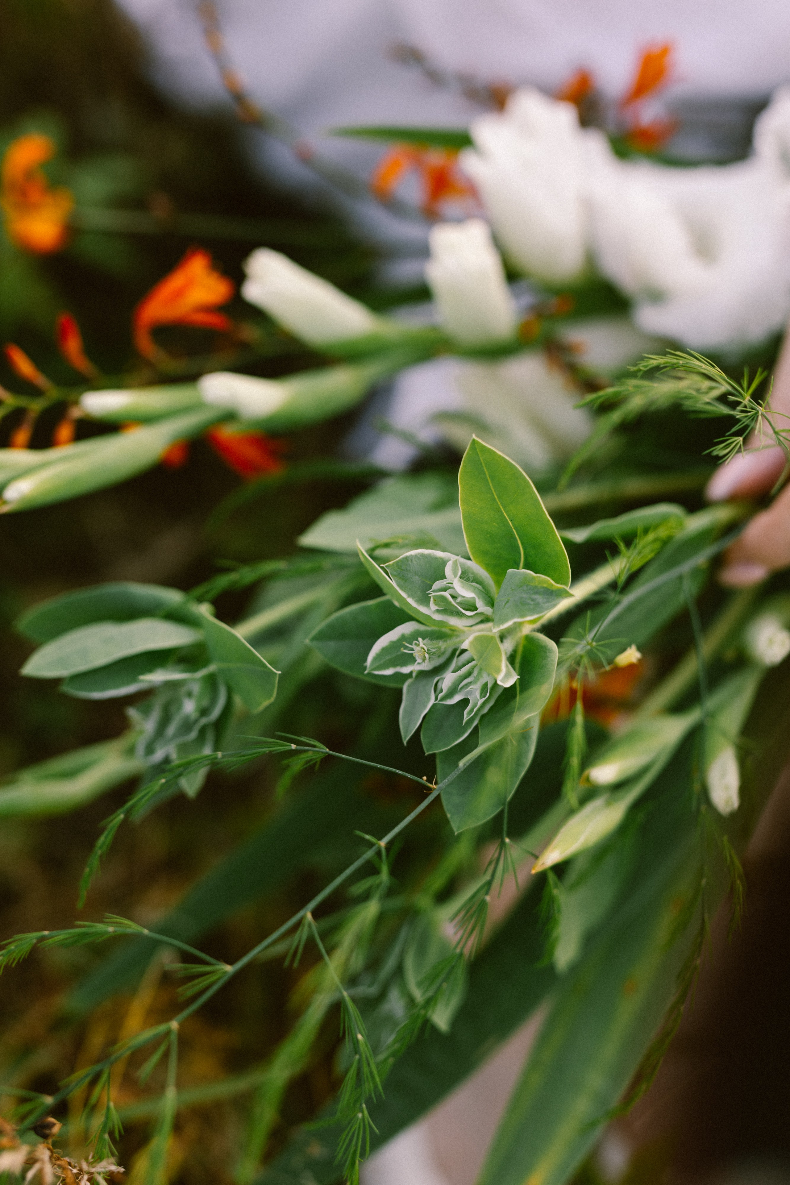 Сказочный ларец. Варвара Синицына: семейный фотограф в Москве