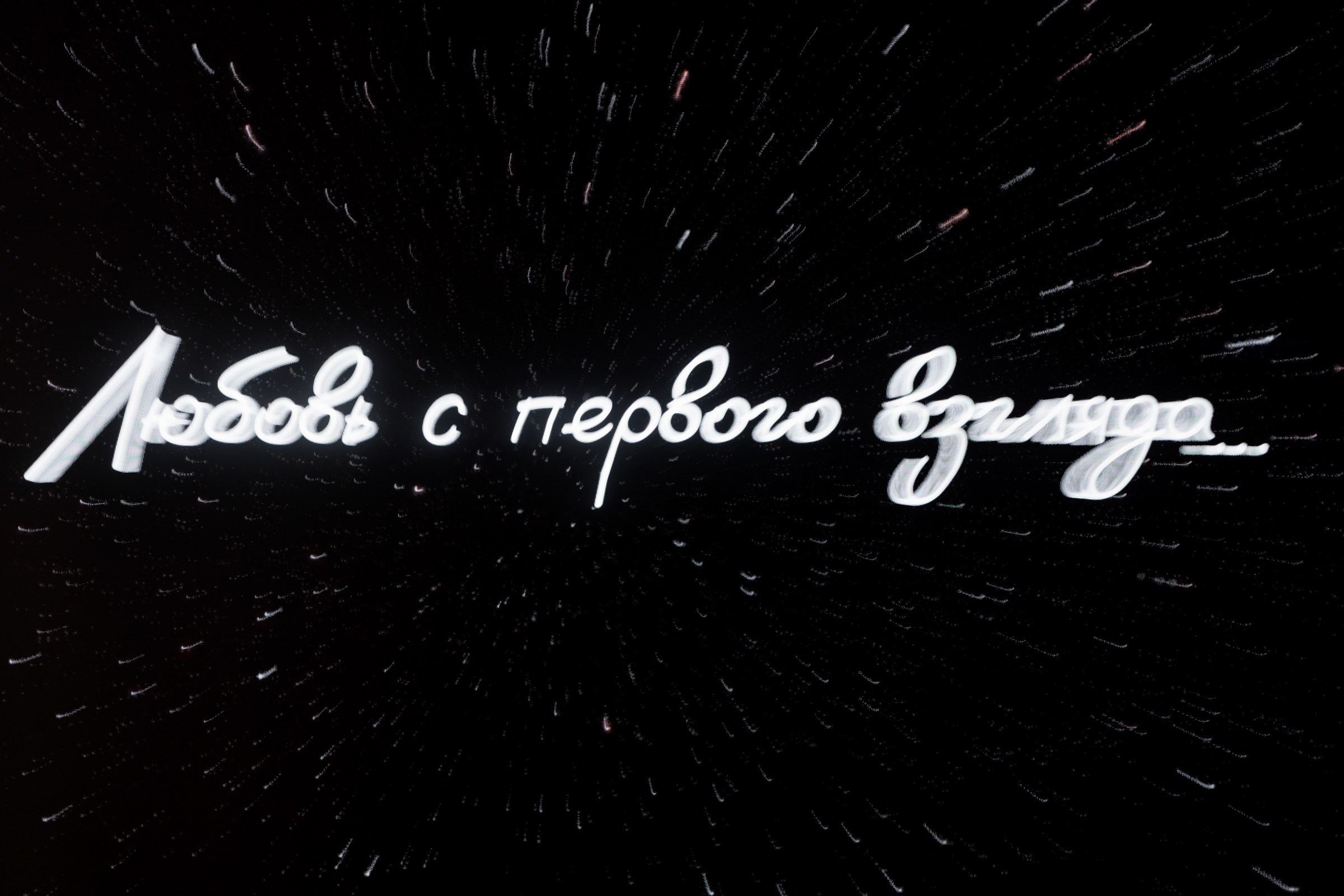 Свадьба пес и котики. Dima Lemeshevsky