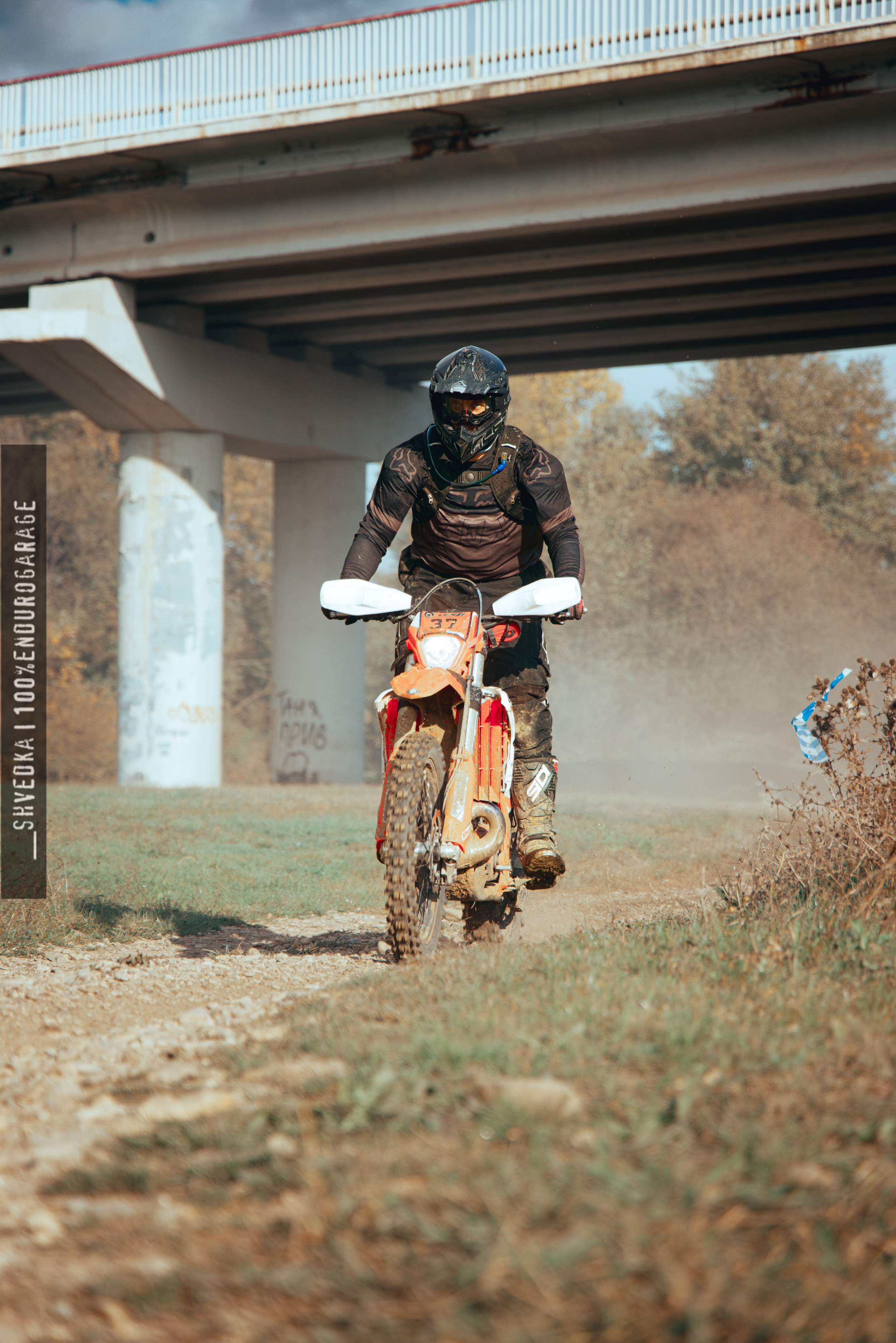 2 ЛЕСНОЙ ДЕНЬ. Ваш экстрим фотограф Кудрева Яна